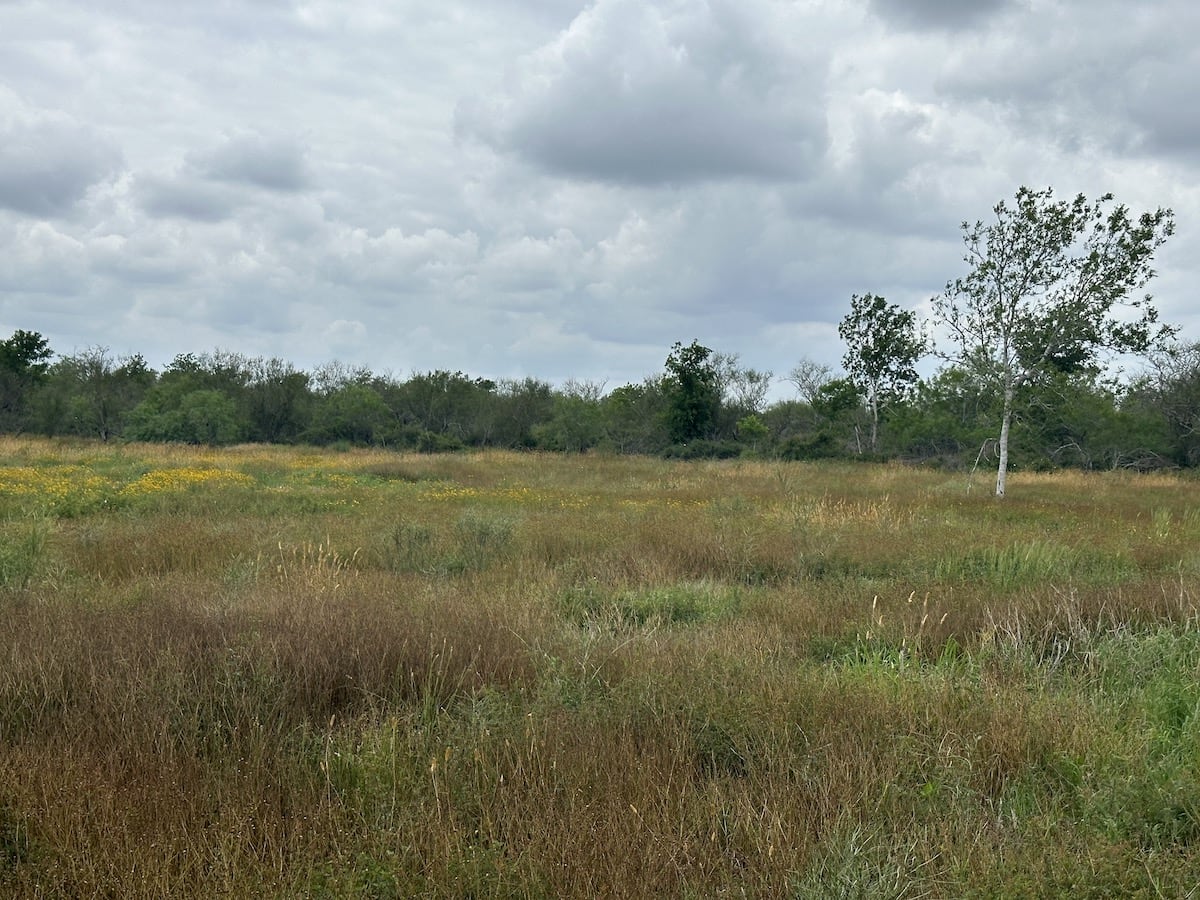 Goliad, Texas, ,Land,For Sale,1052