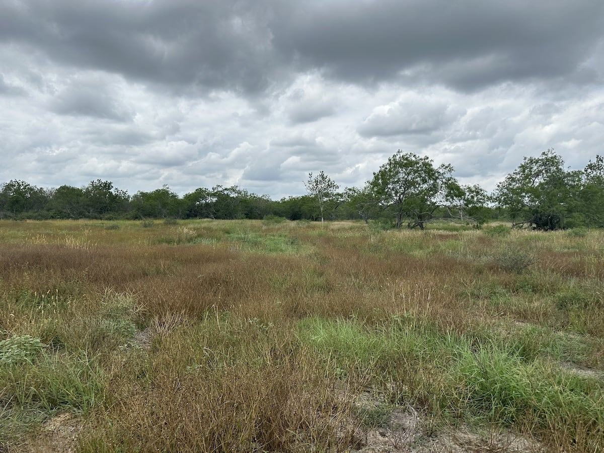 Goliad, Texas, ,Land,For Sale,1052