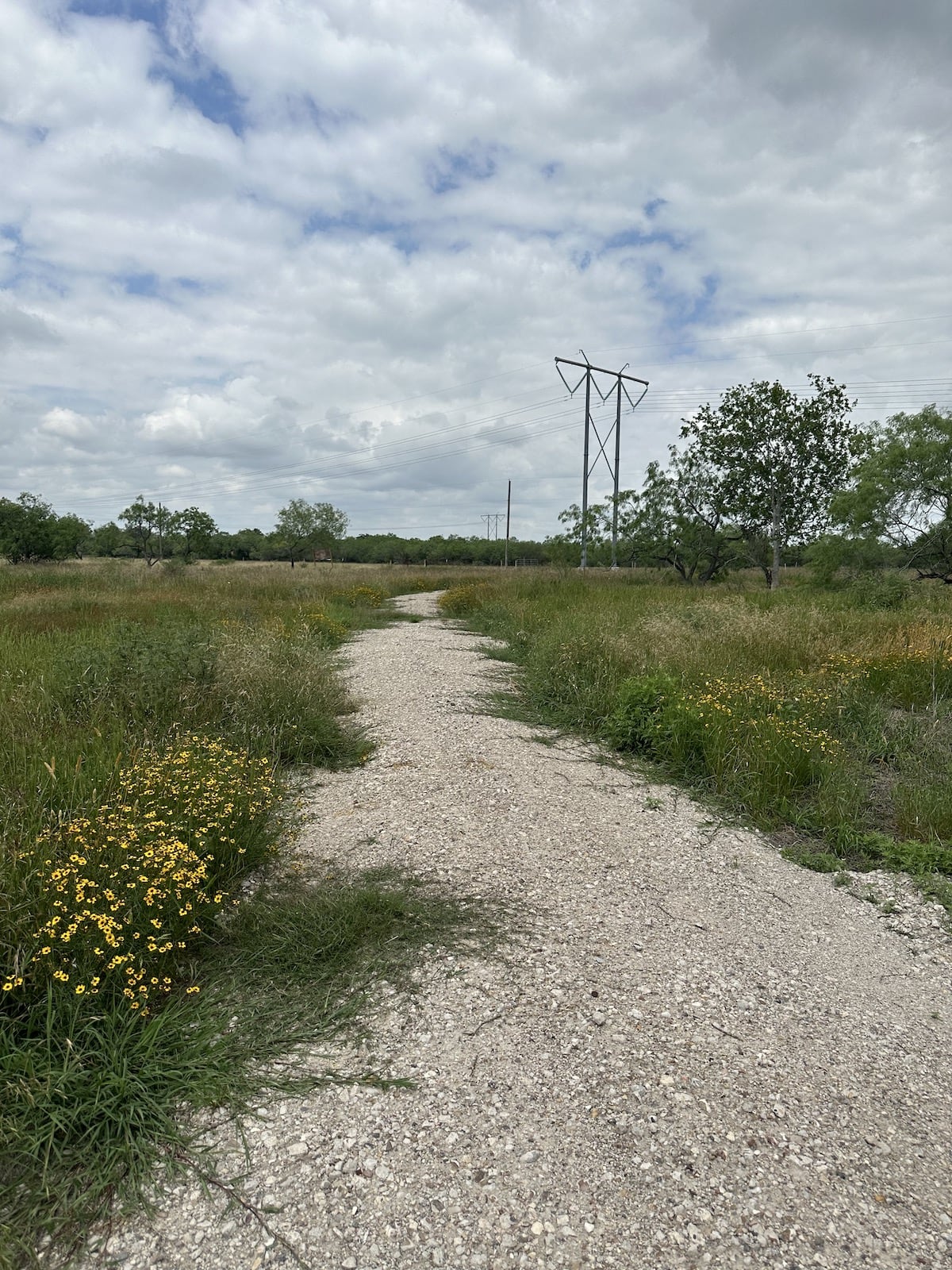 Goliad, Texas, ,Land,For Sale,1052