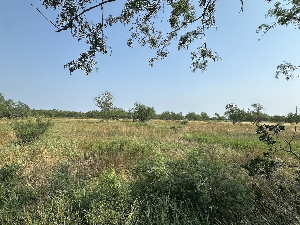 Goliad, Texas, ,Land,For Sale,1052