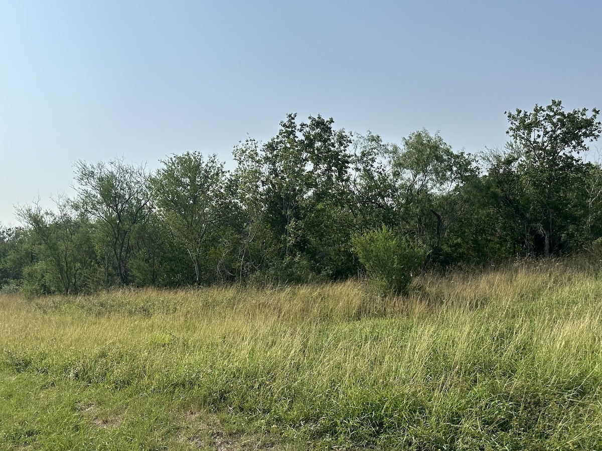 Goliad, Texas, ,Land,For Sale,1052