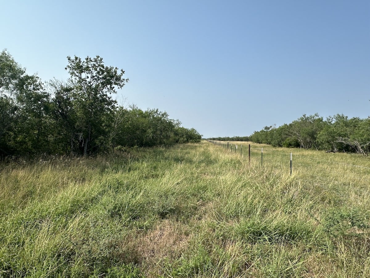 Goliad, Texas, ,Land,For Sale,1052