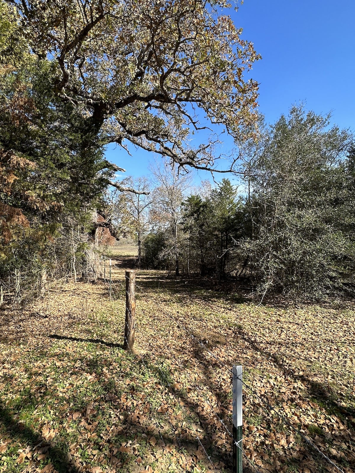 Luling, Texas, ,Land,For Sale,1053