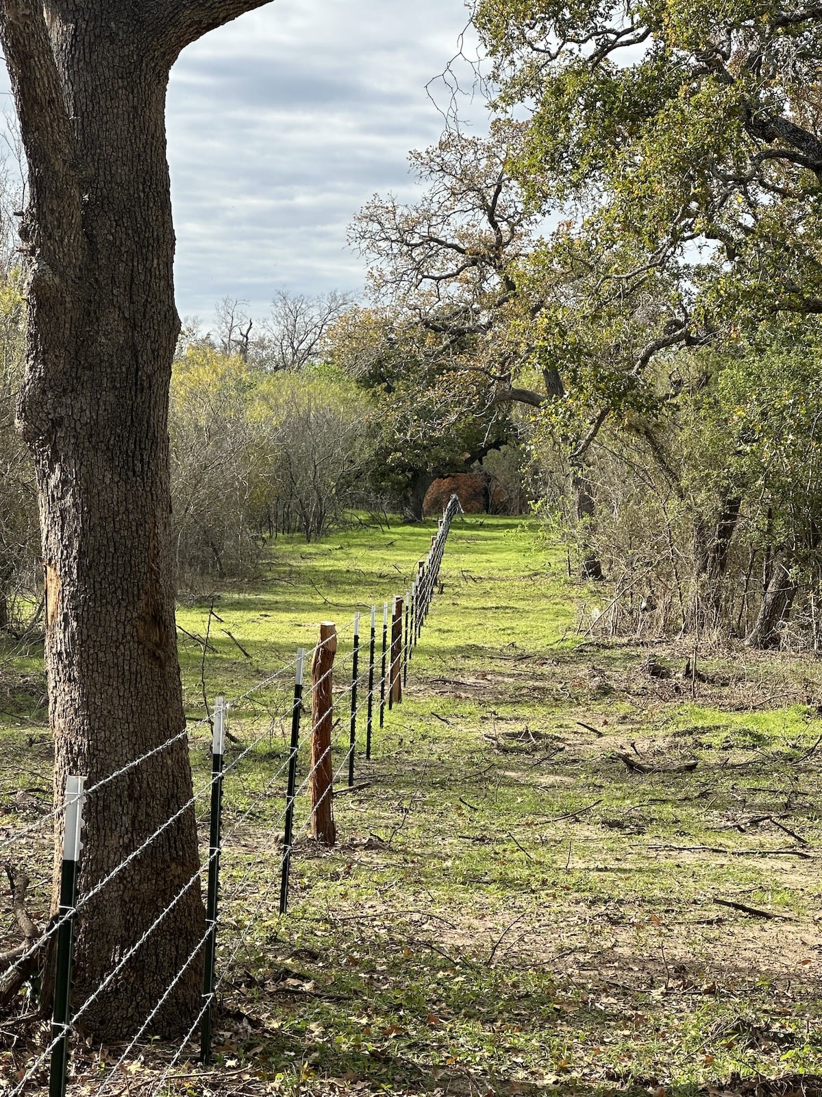 Luling, Texas, ,Land,For Sale,1053