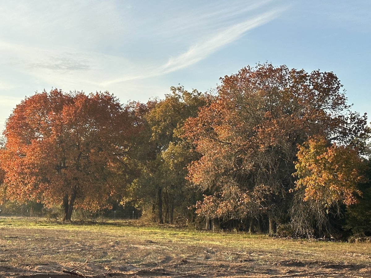 Luling, Texas, ,Land,For Sale,1053