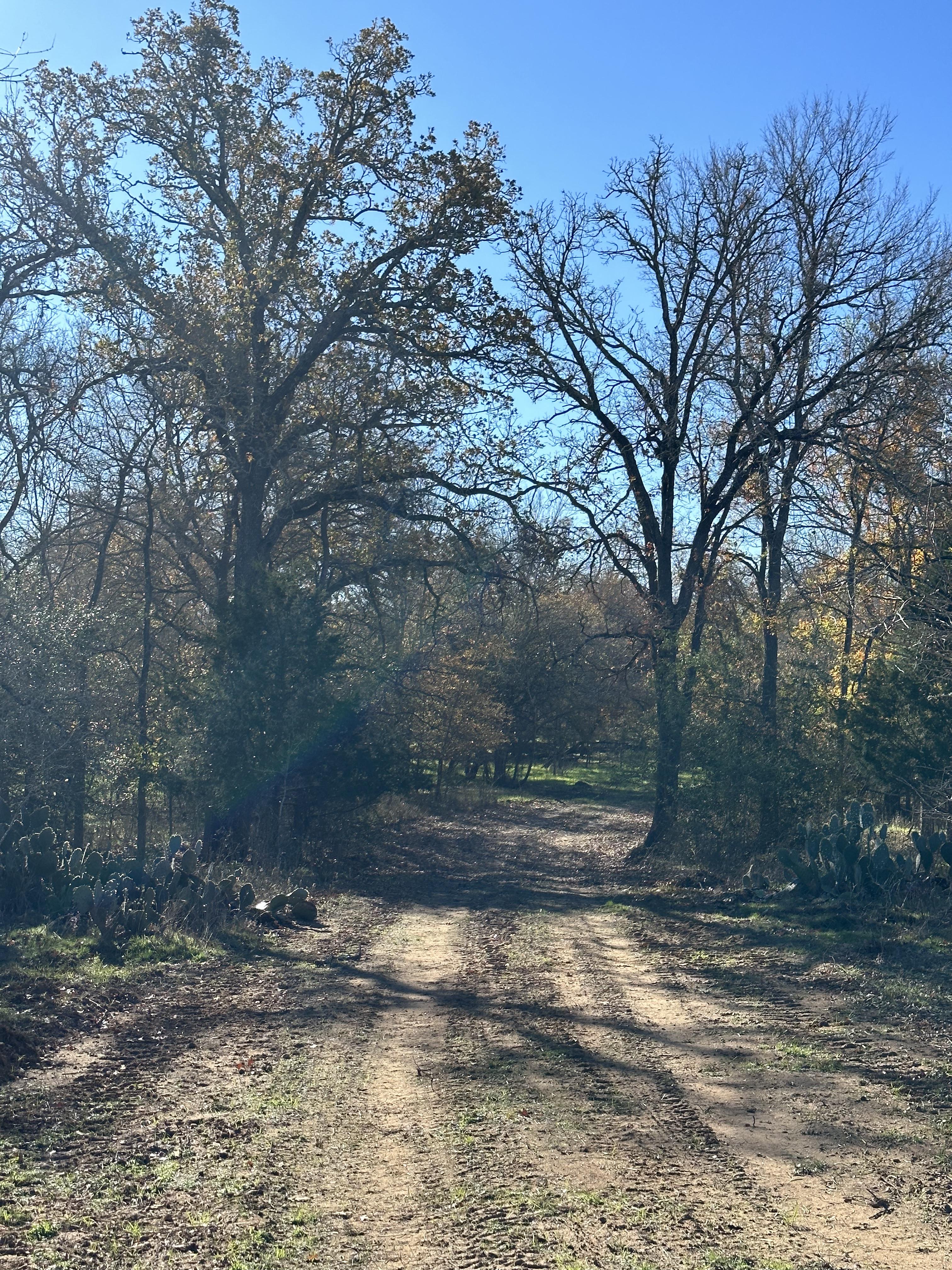 Luling, Texas, ,Land,For Sale,1053