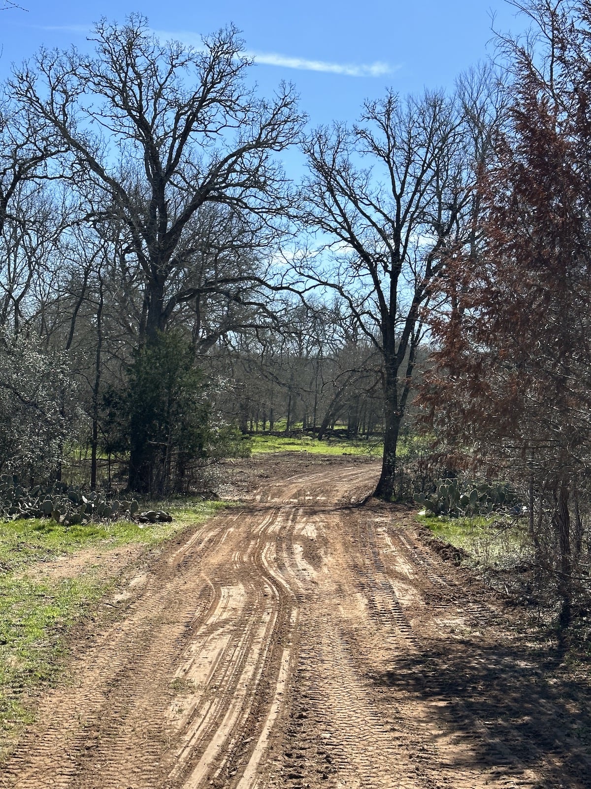 Luling, Texas, ,Land,For Sale,1053