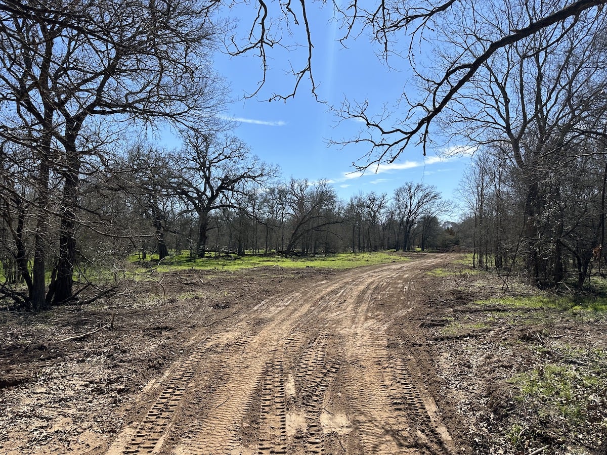 Luling, Texas, ,Land,For Sale,1053