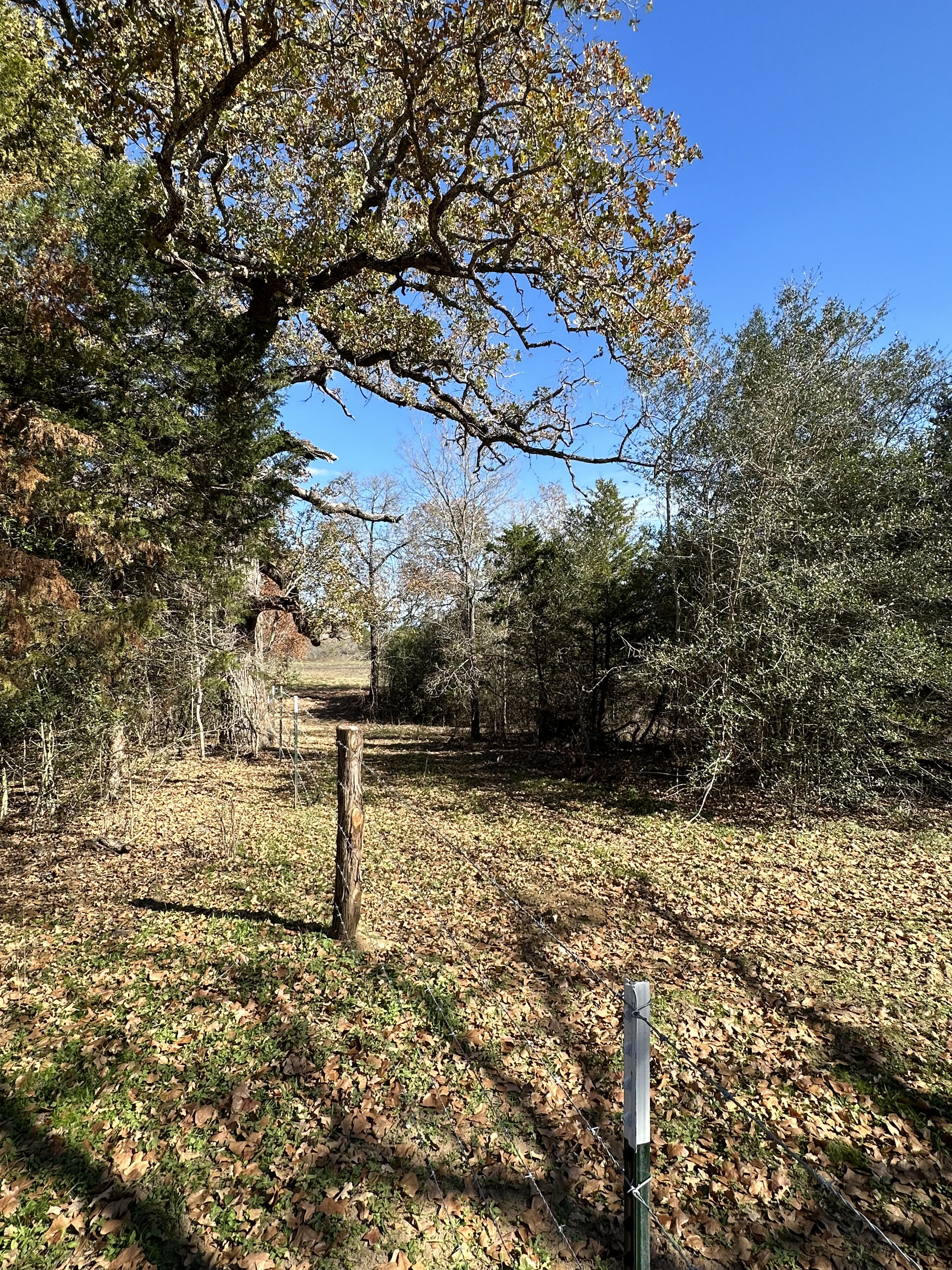 Luling, Texas, ,Land,For Sale,1053