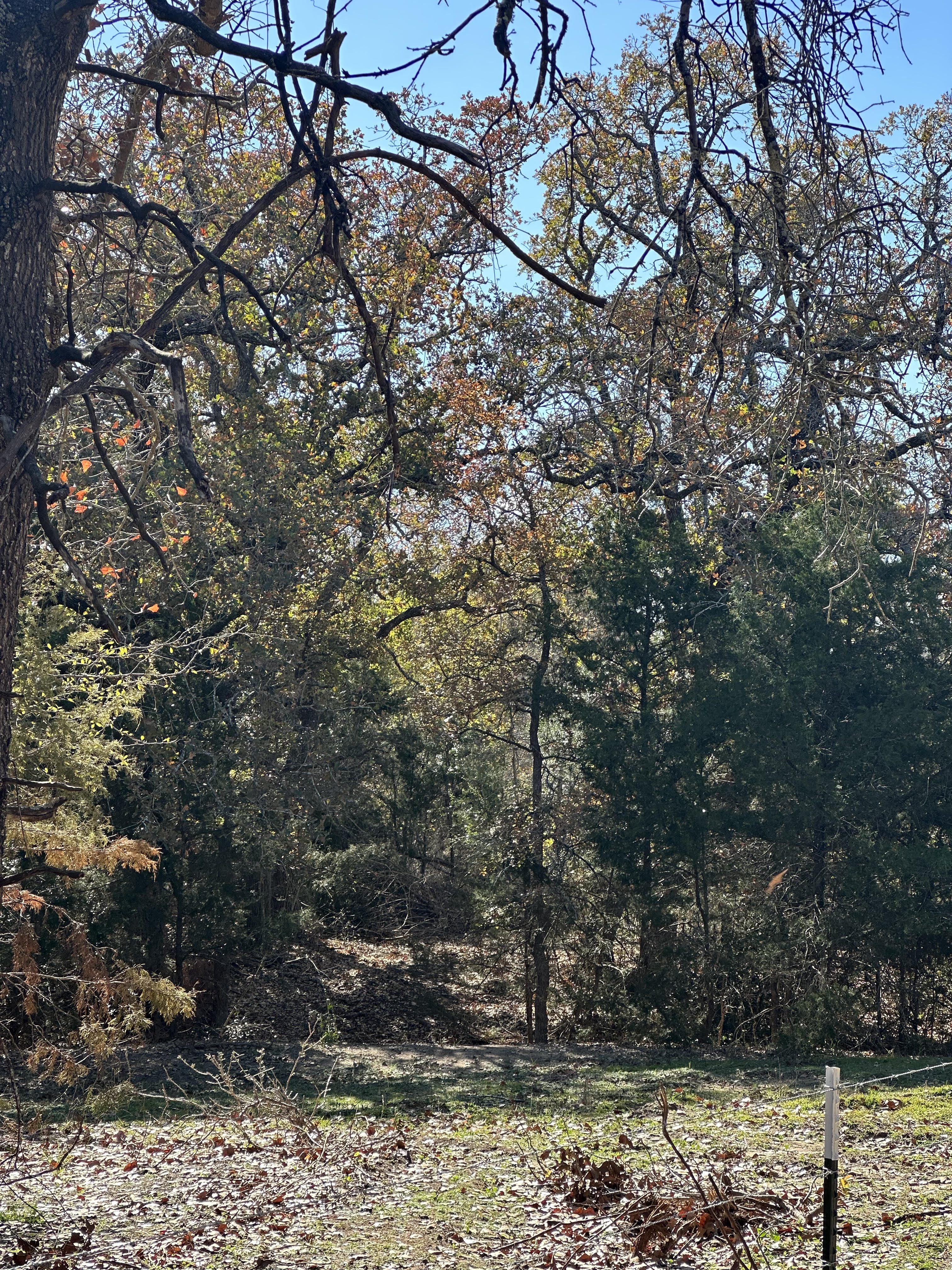 Luling, Texas, ,Land,For Sale,1053