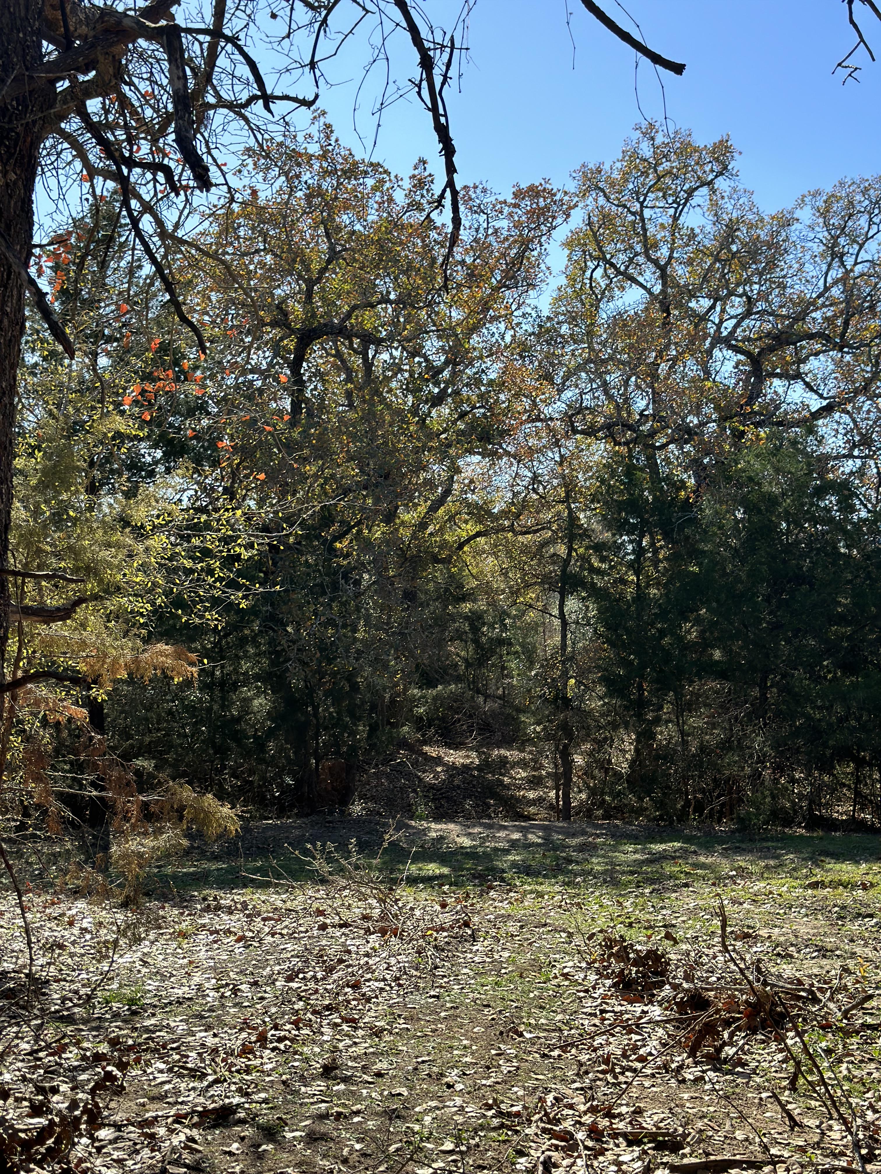 Luling, Texas, ,Land,For Sale,1053