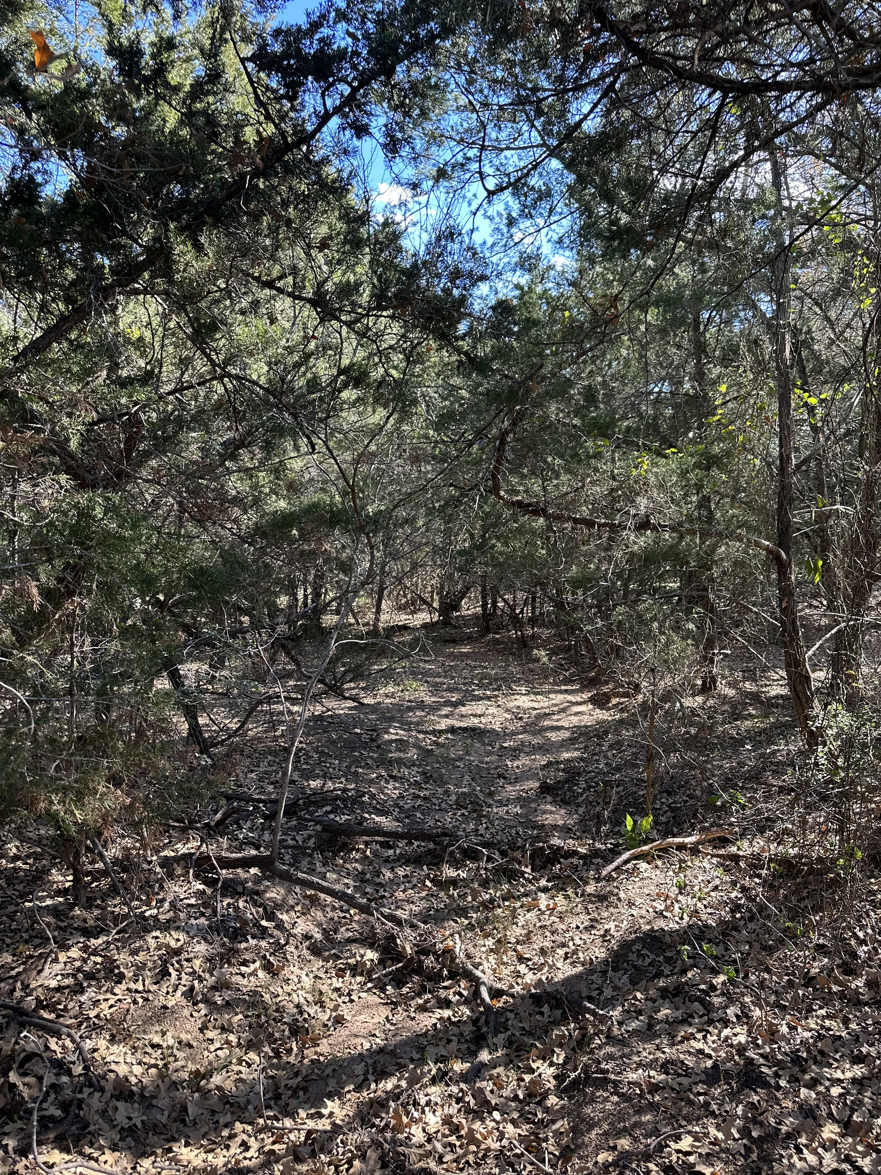 Luling, Texas, ,Land,For Sale,1053