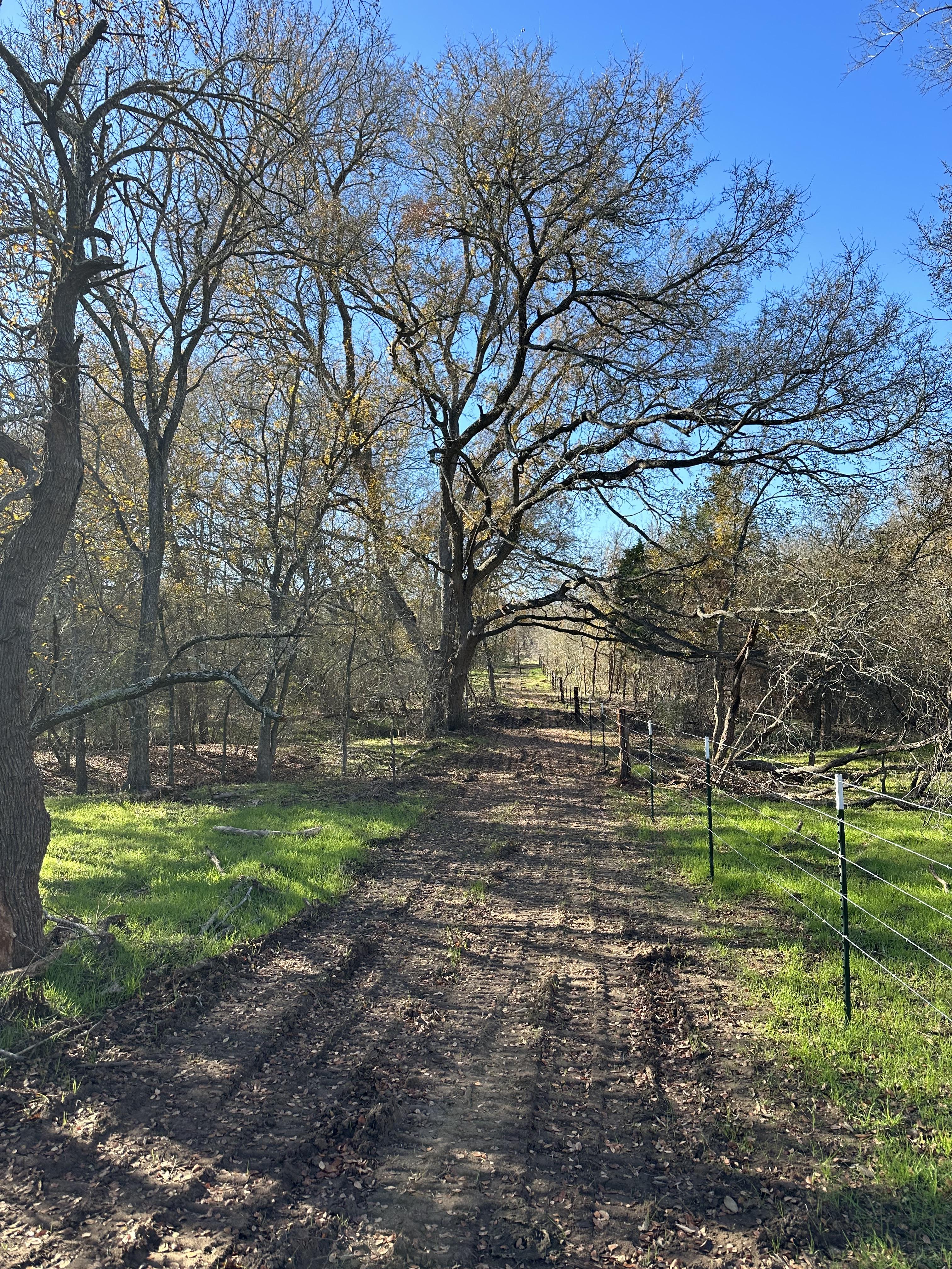 Luling, Texas, ,Land,For Sale,1053