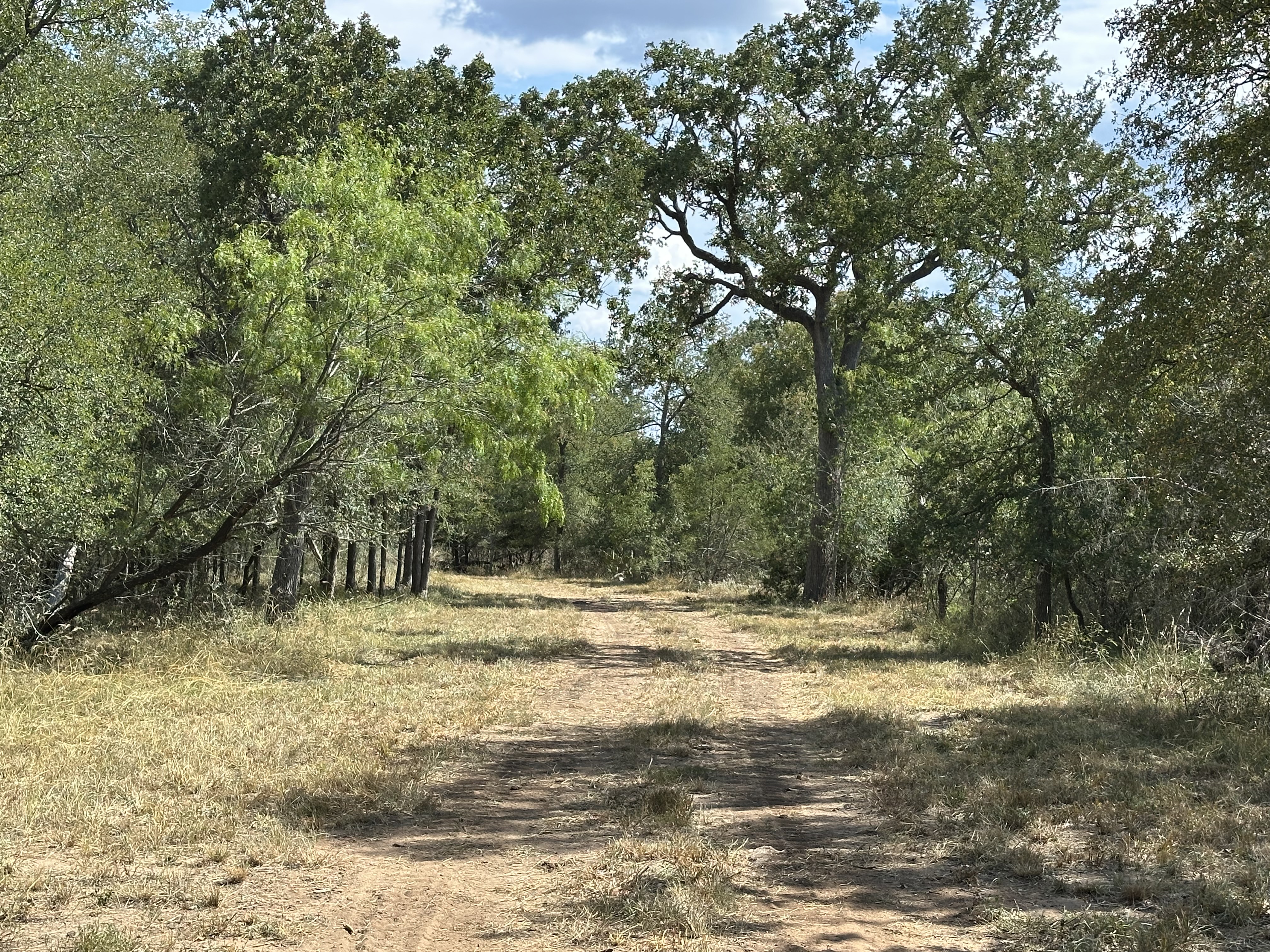 Luling, Texas, ,Land,For Sale,1053