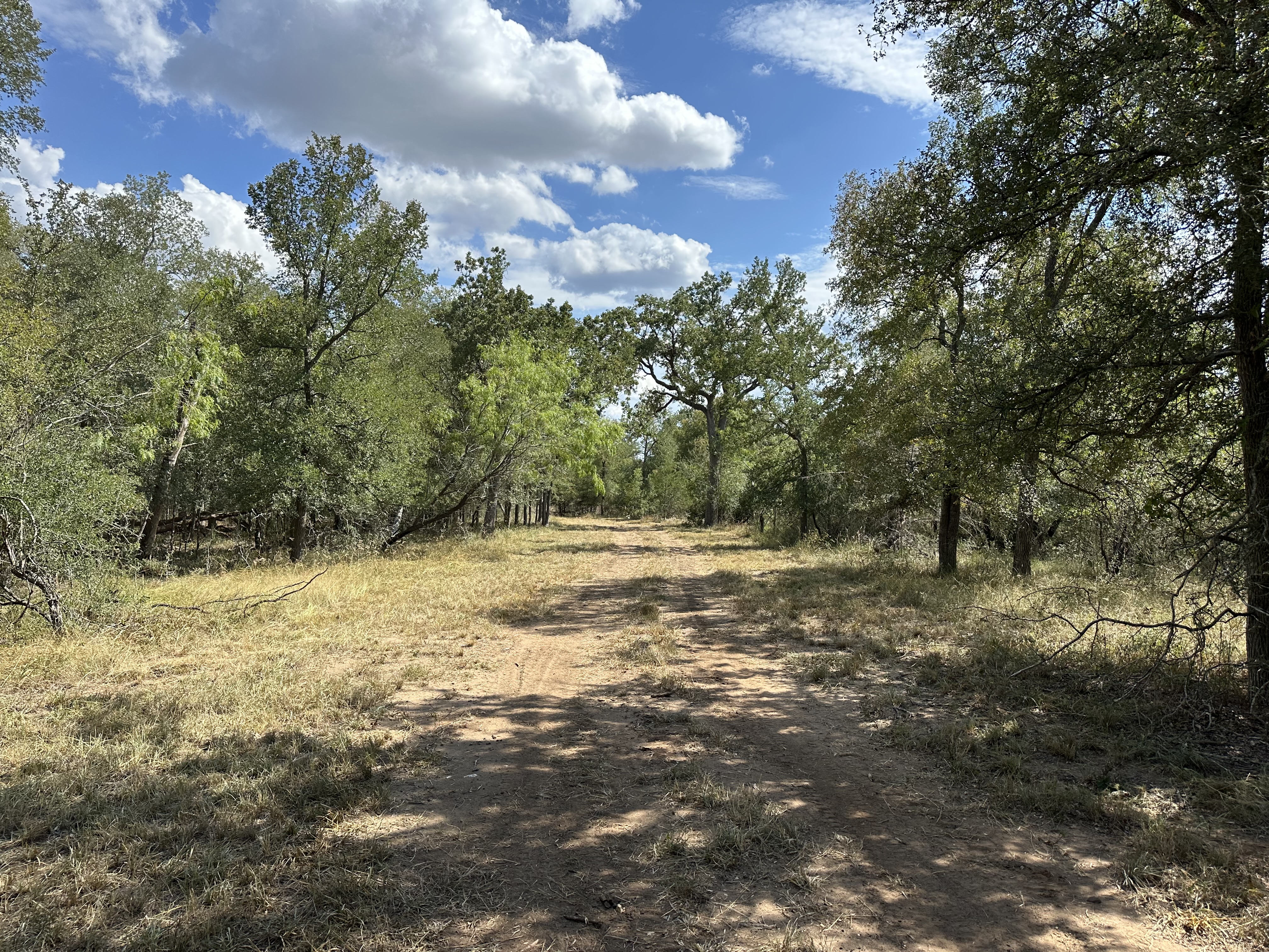 Luling, Texas, ,Land,For Sale,1053