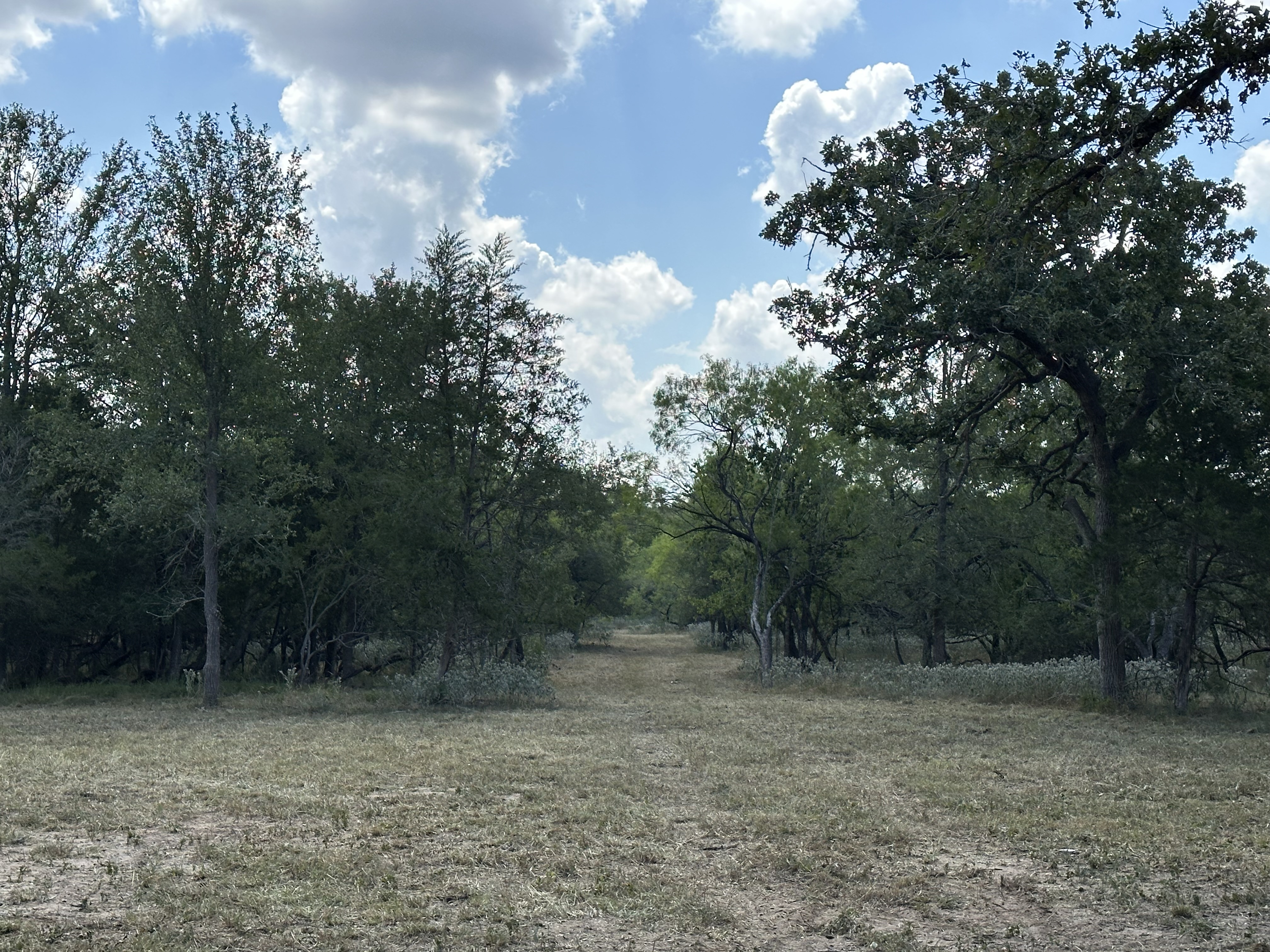 Luling, Texas, ,Land,For Sale,1053