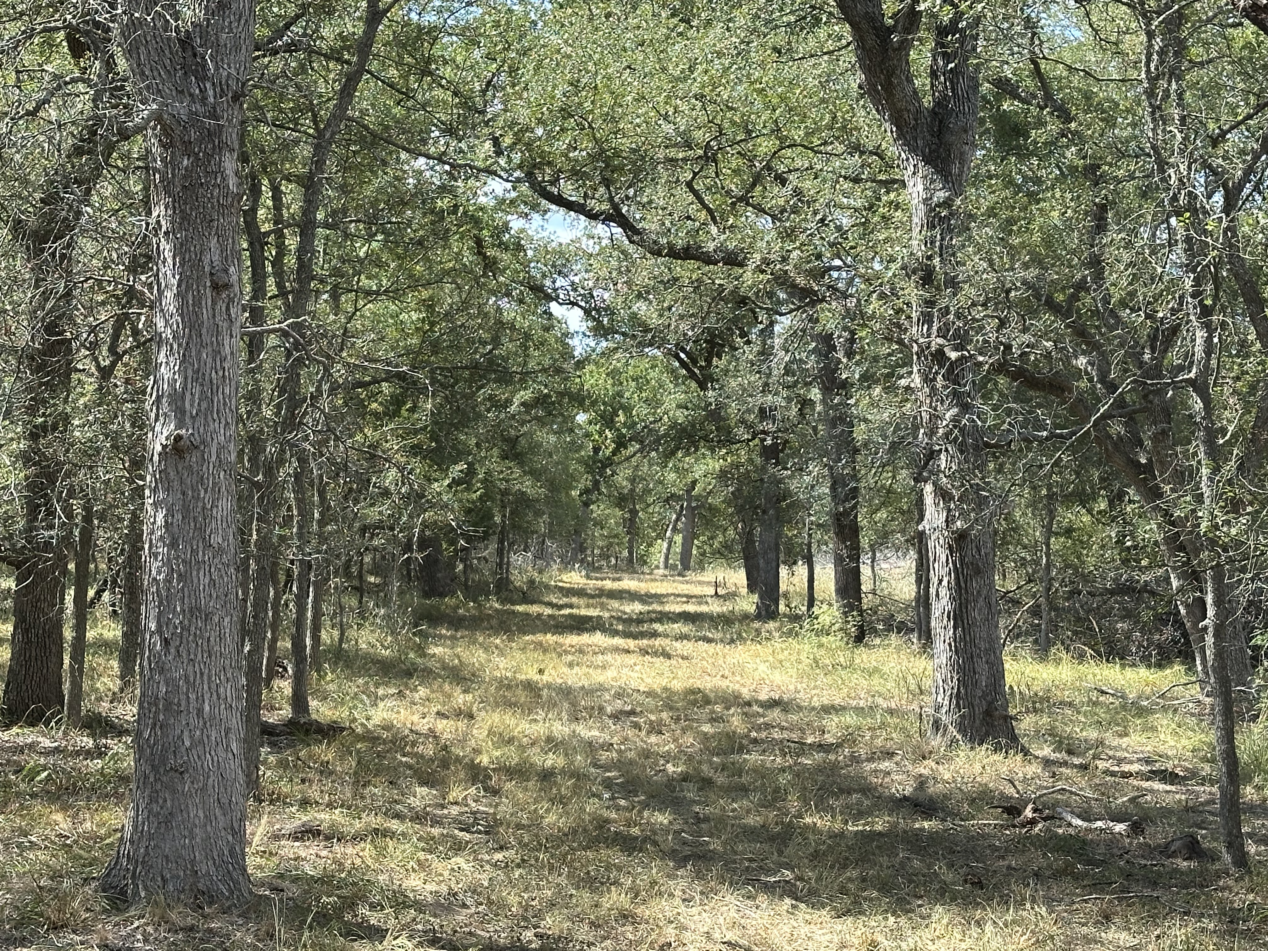 Luling, Texas, ,Land,For Sale,1053