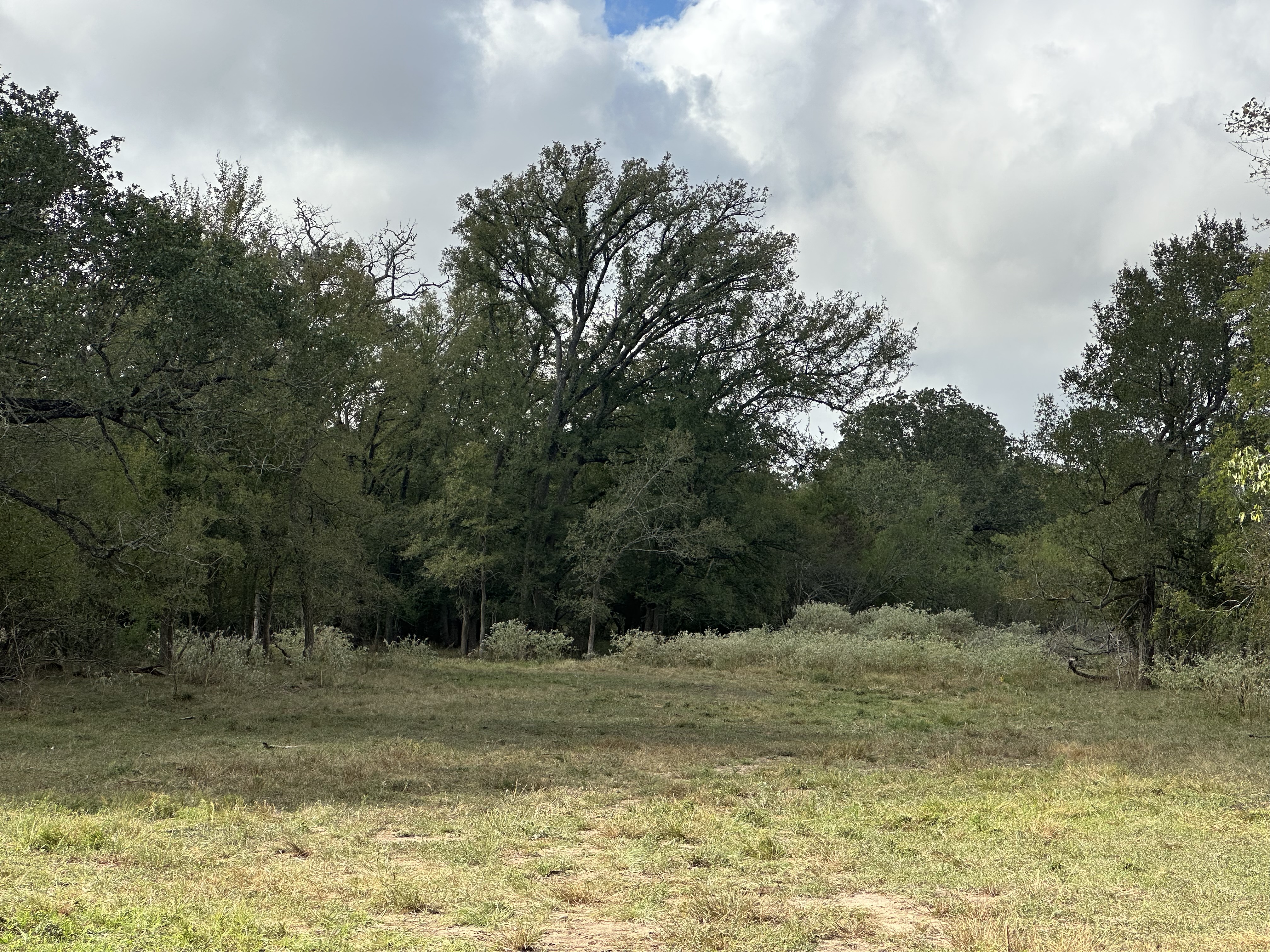 Luling, Texas, ,Land,For Sale,1053