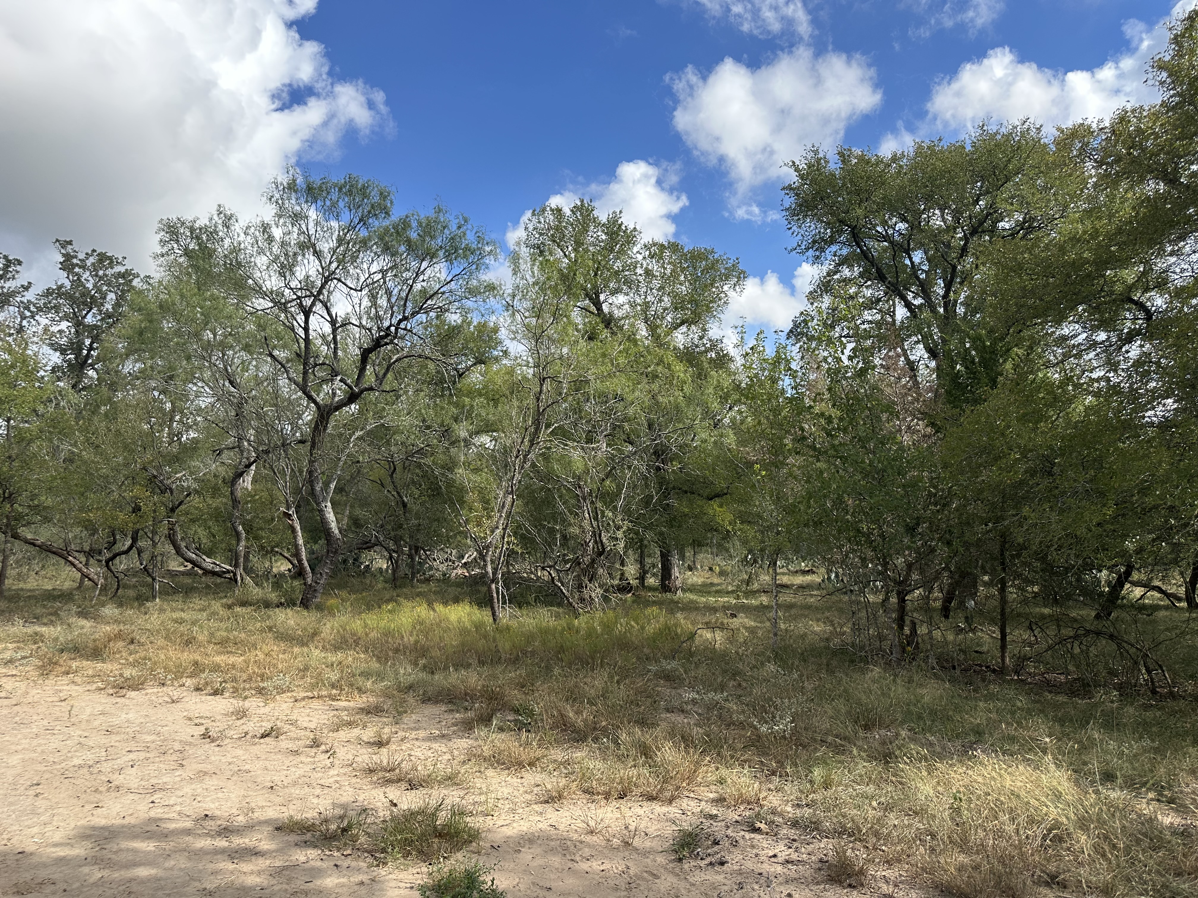 Luling, Texas, ,Land,For Sale,1053