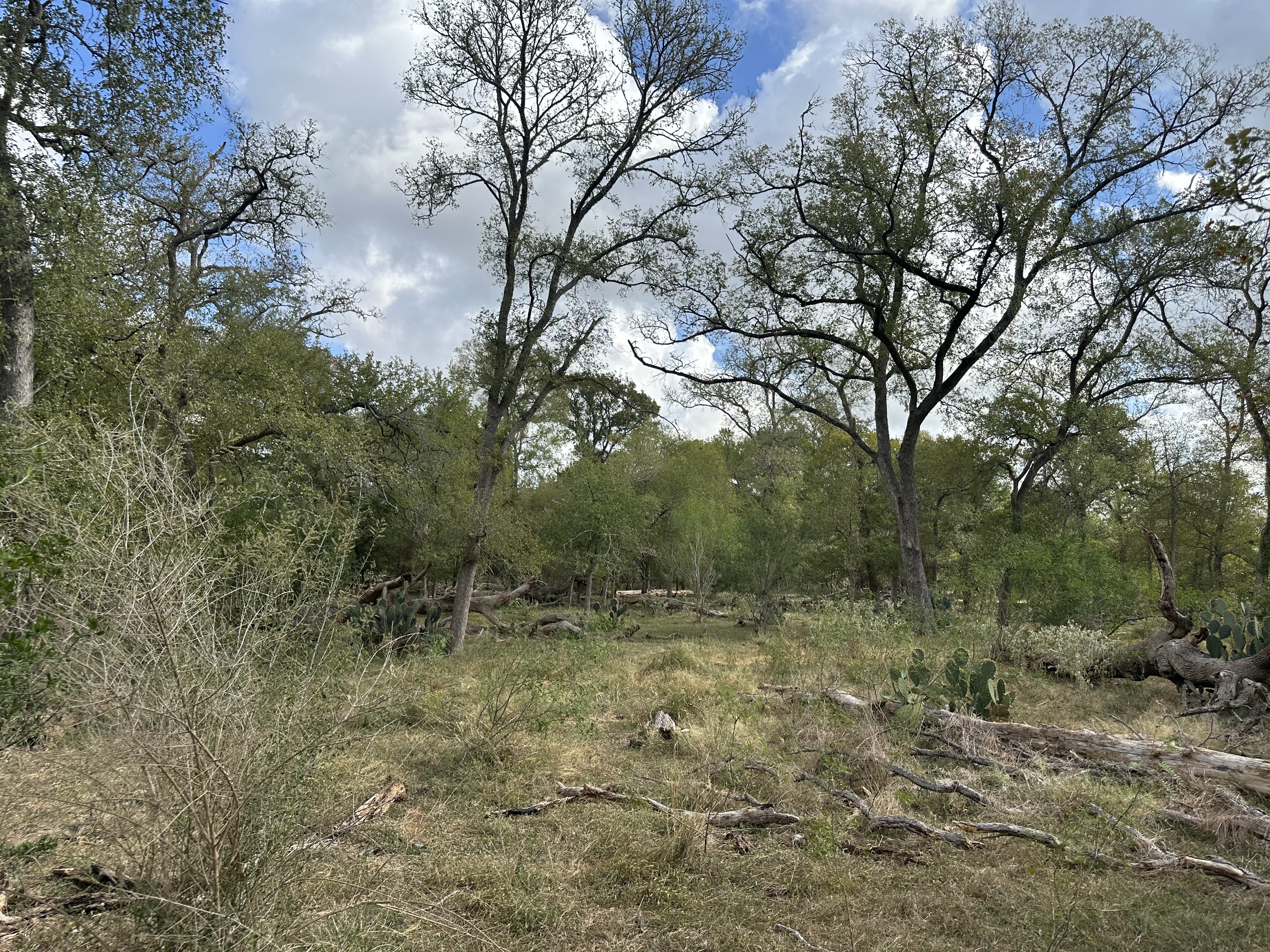 Luling, Texas, ,Land,For Sale,1053