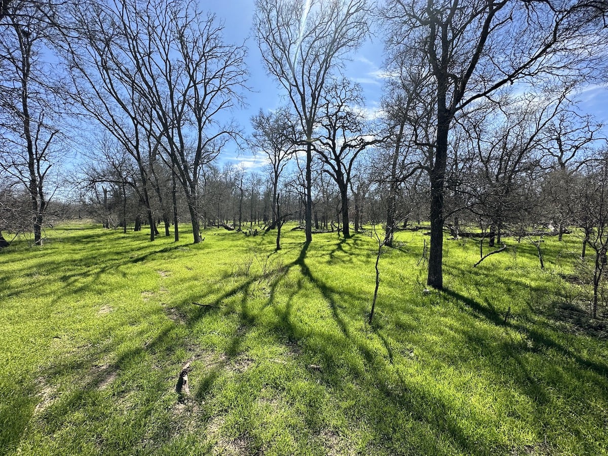 Luling, Texas, ,Land,For Sale,1054