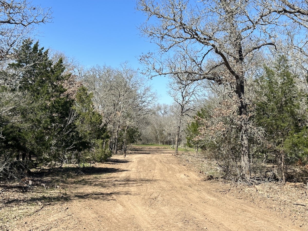 Luling, Texas, ,Land,For Sale,1054