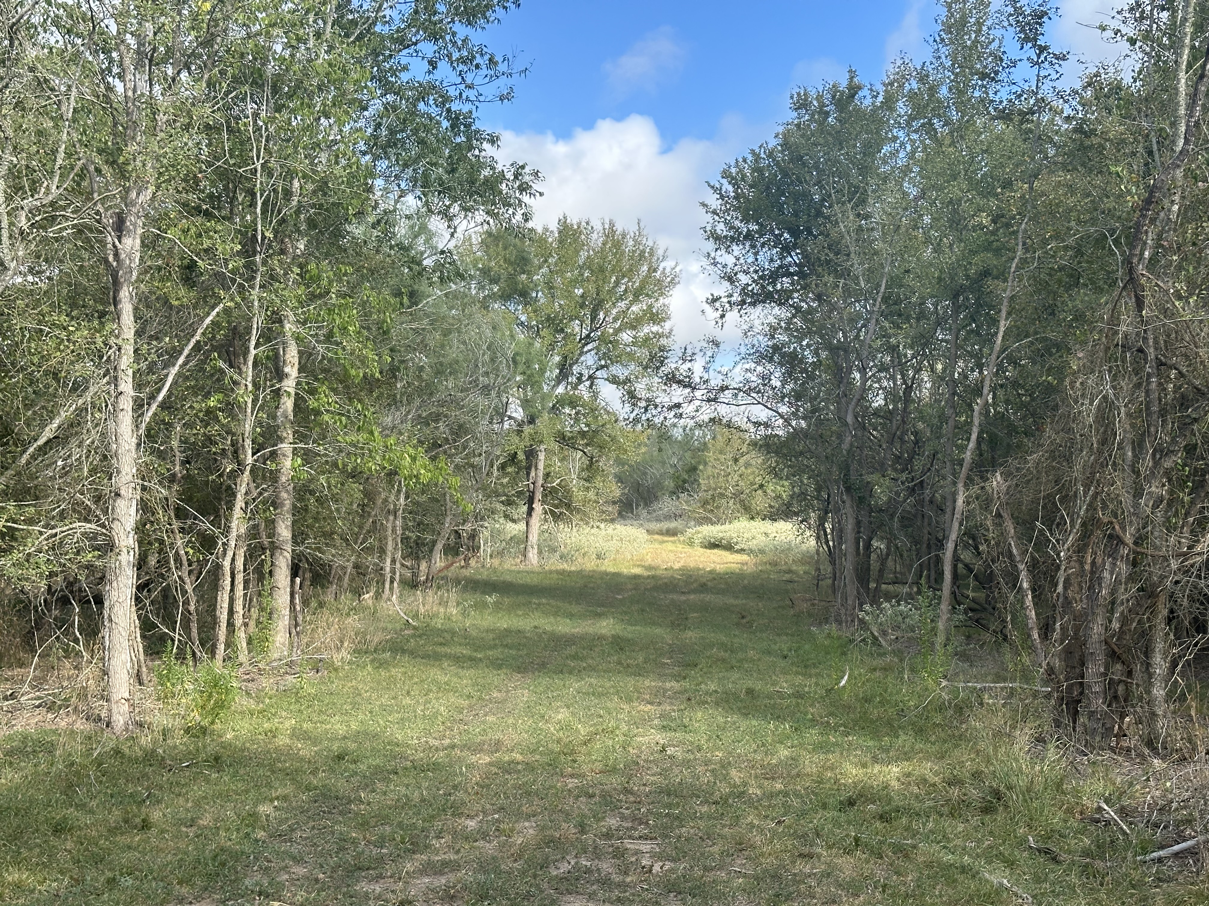 Luling, Texas, ,Land,For Sale,1054