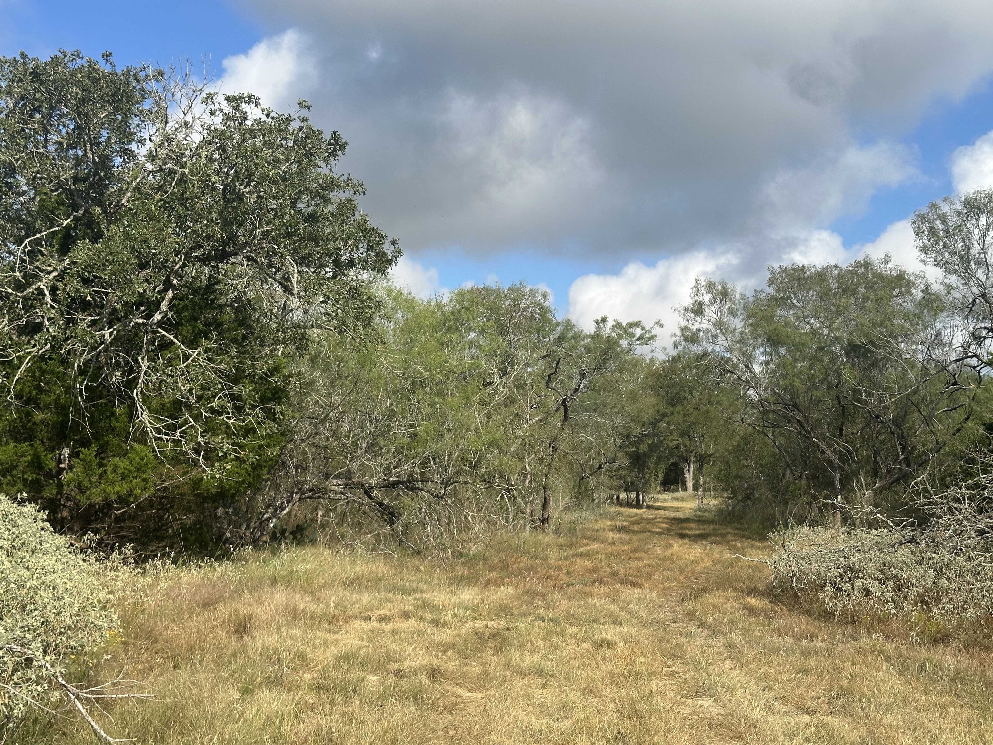 Luling, Texas, ,Land,For Sale,1054