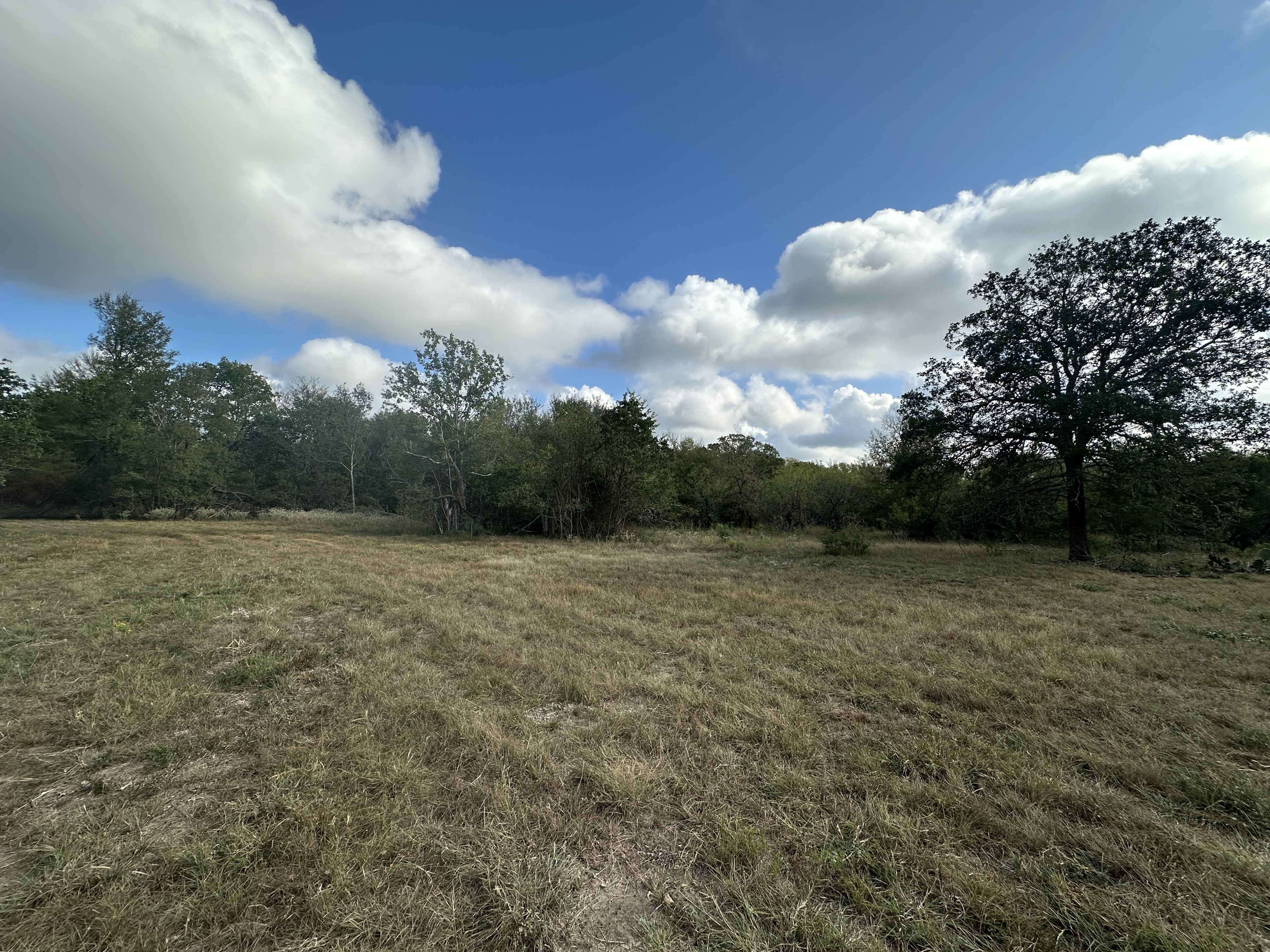 Luling, Texas, ,Land,For Sale,1054