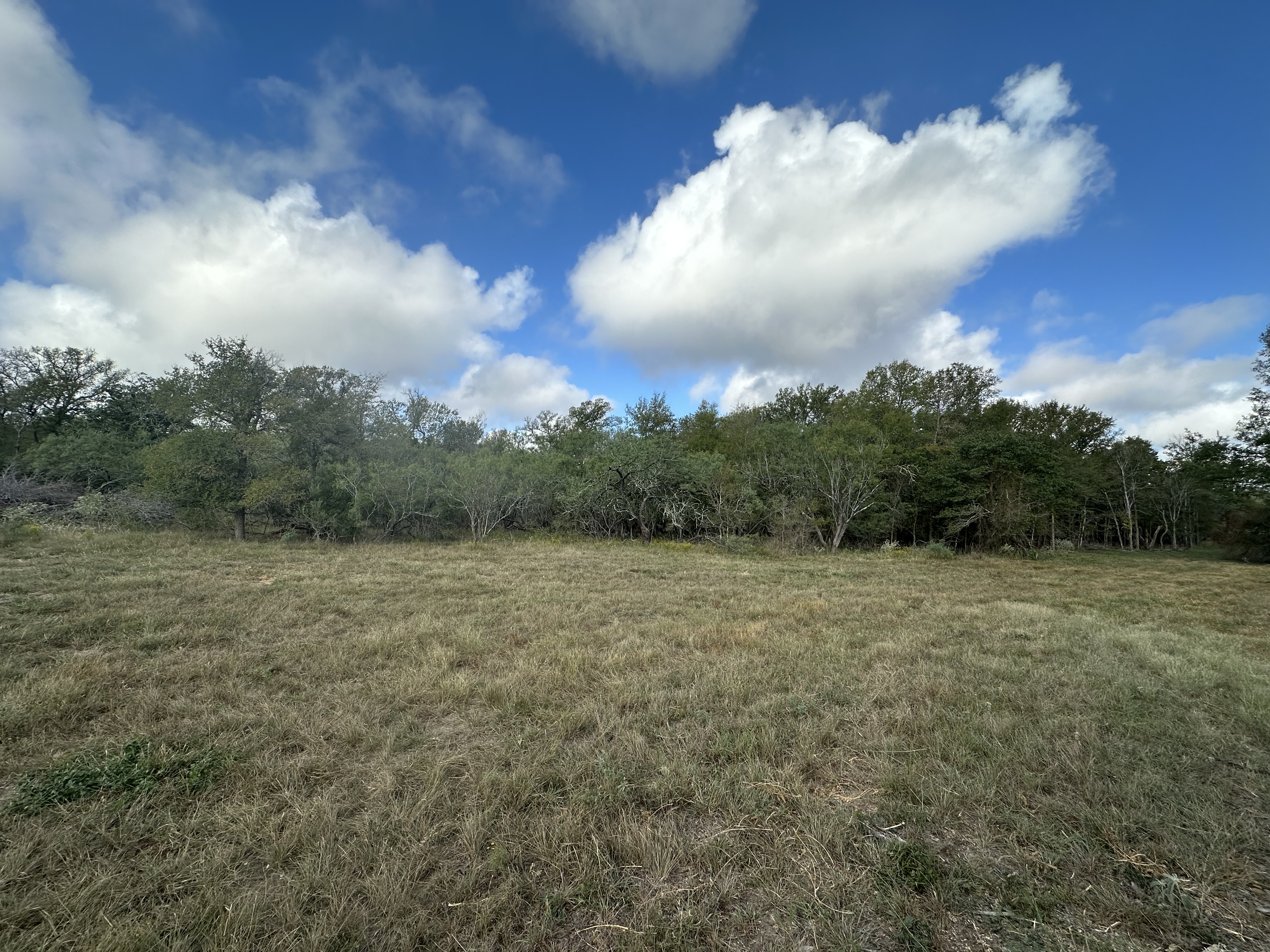 Luling, Texas, ,Land,For Sale,1054