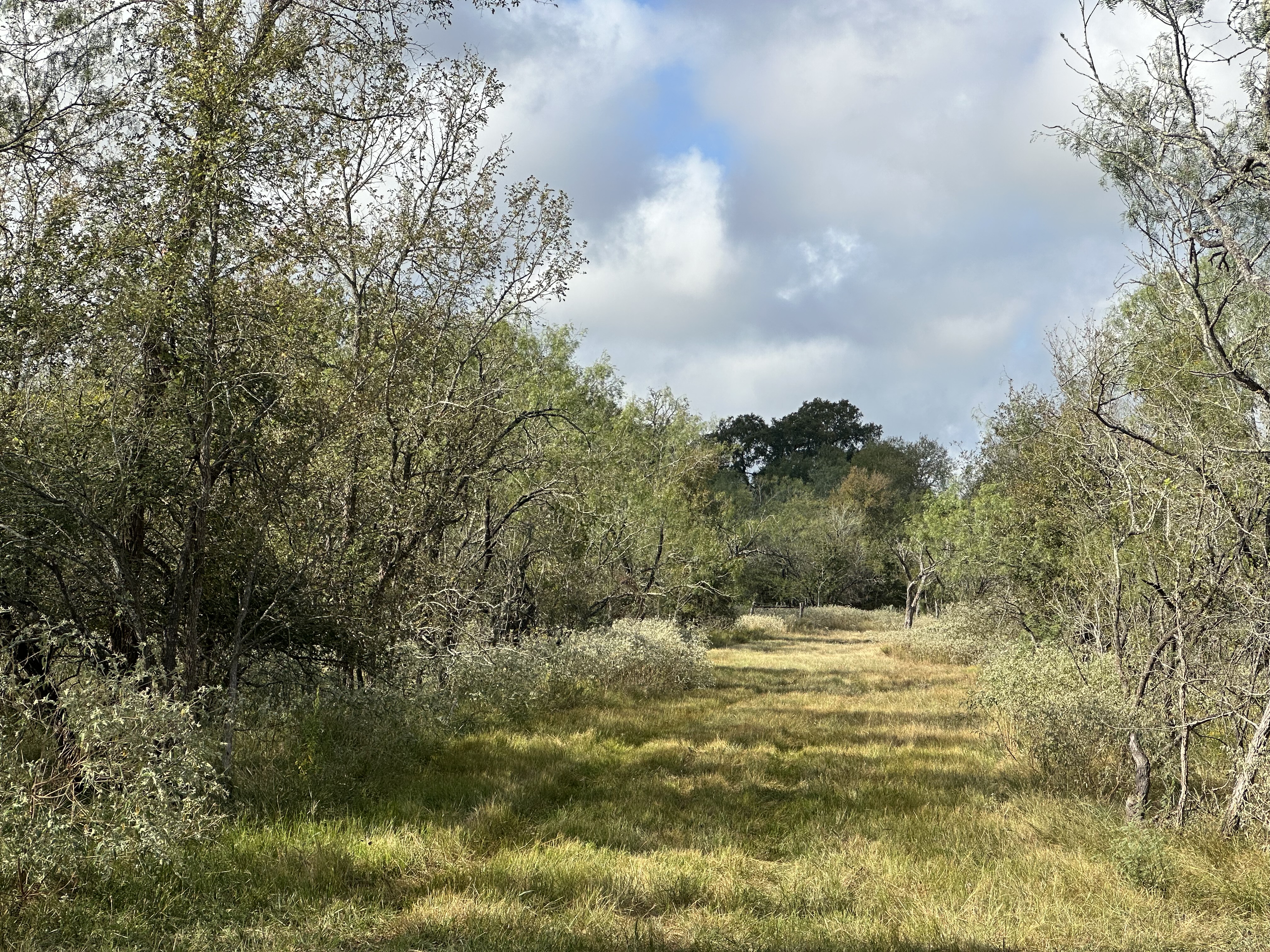 Luling, Texas, ,Land,For Sale,1054