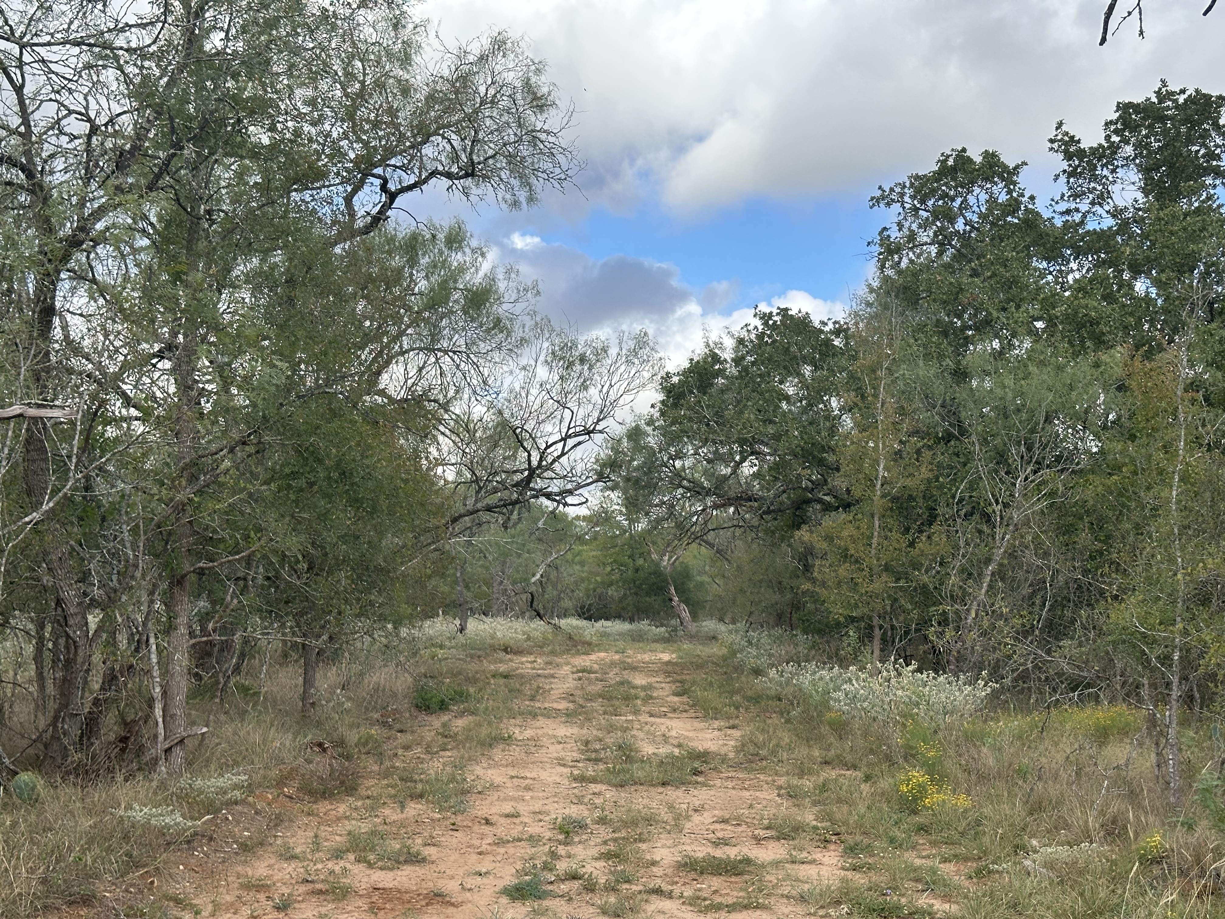 Luling, Texas, ,Land,For Sale,1054