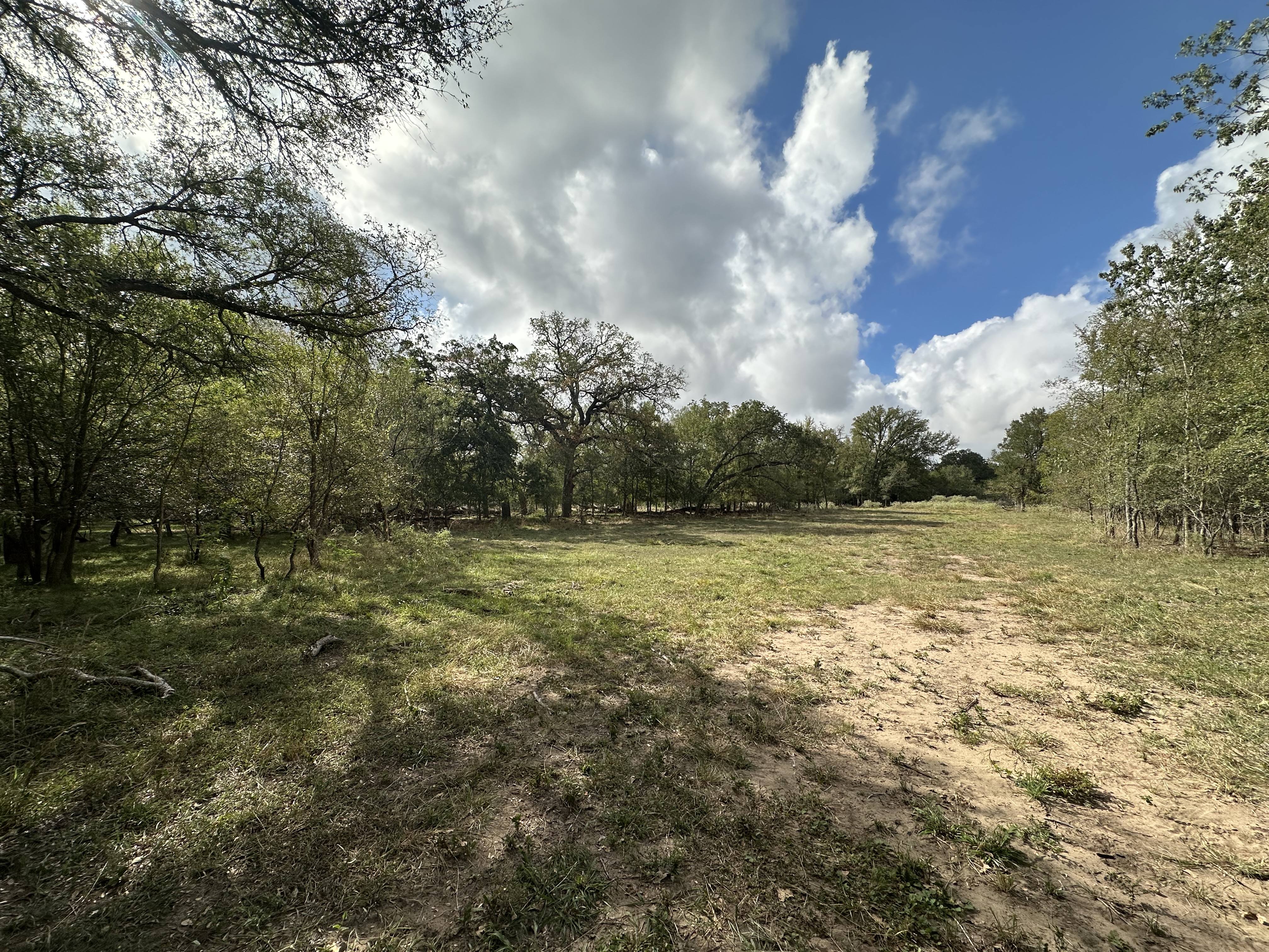 Luling, Texas, ,Land,For Sale,1054