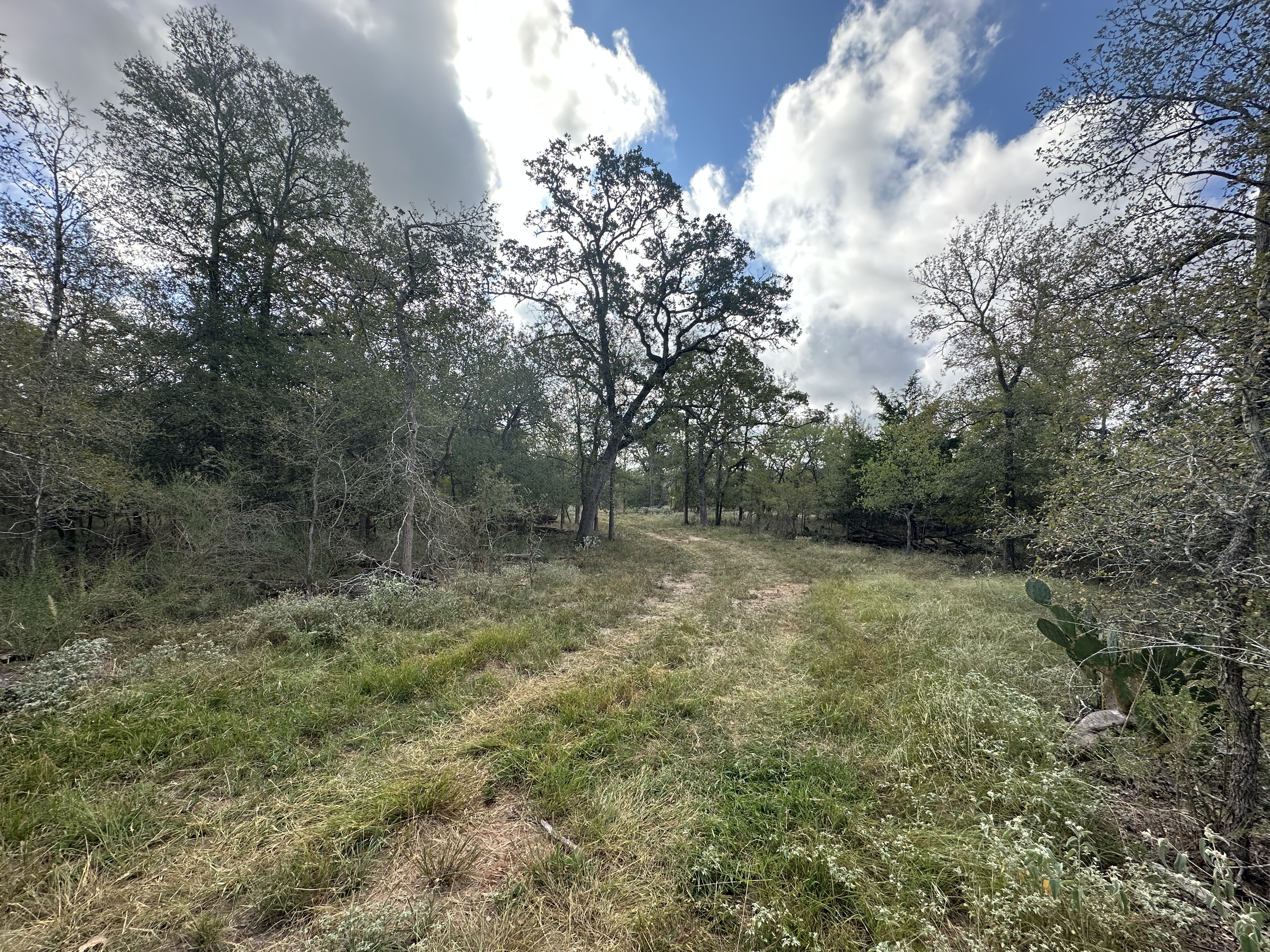 Luling, Texas, ,Land,For Sale,1054