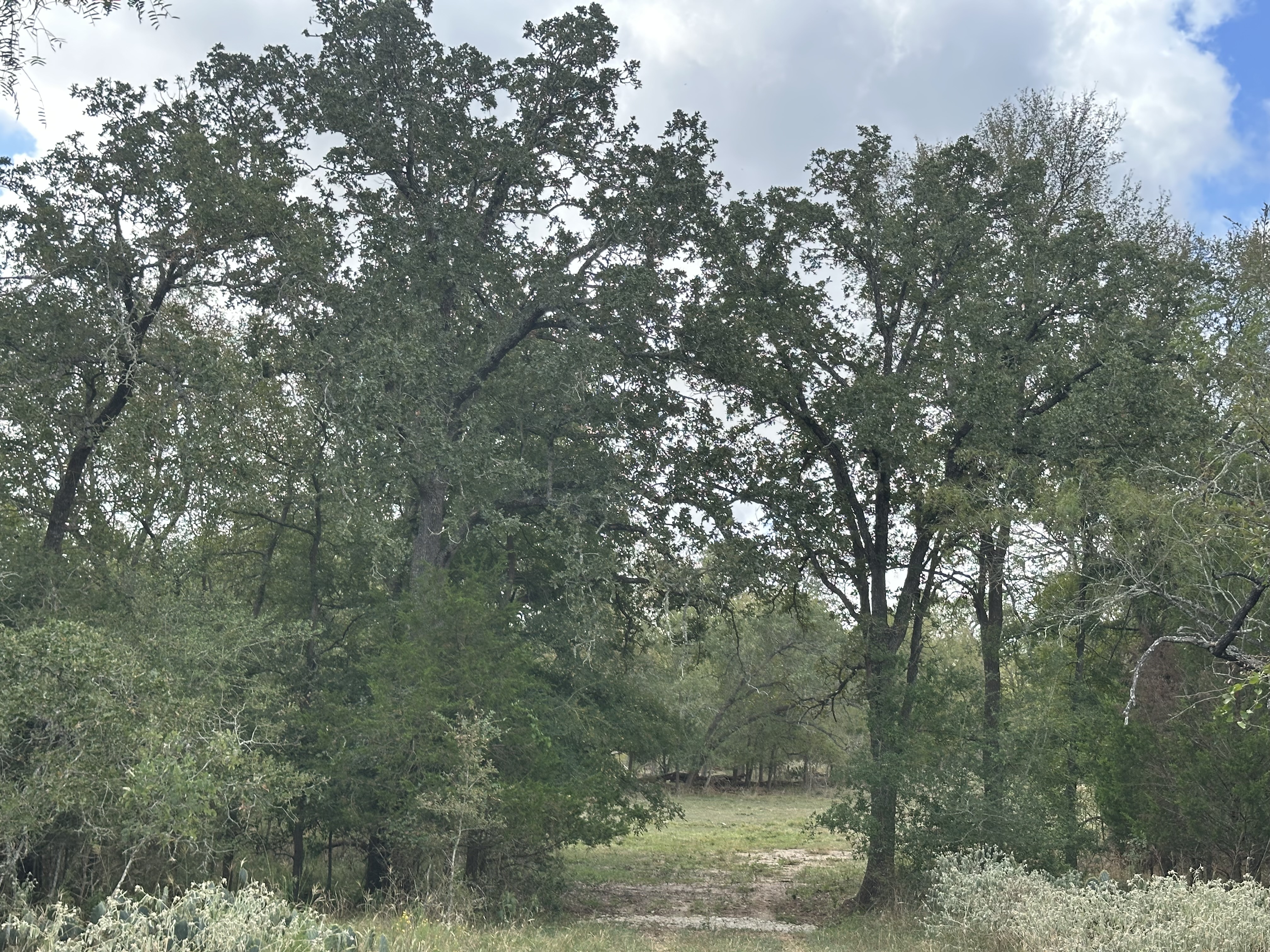 Luling, Texas, ,Land,For Sale,1054