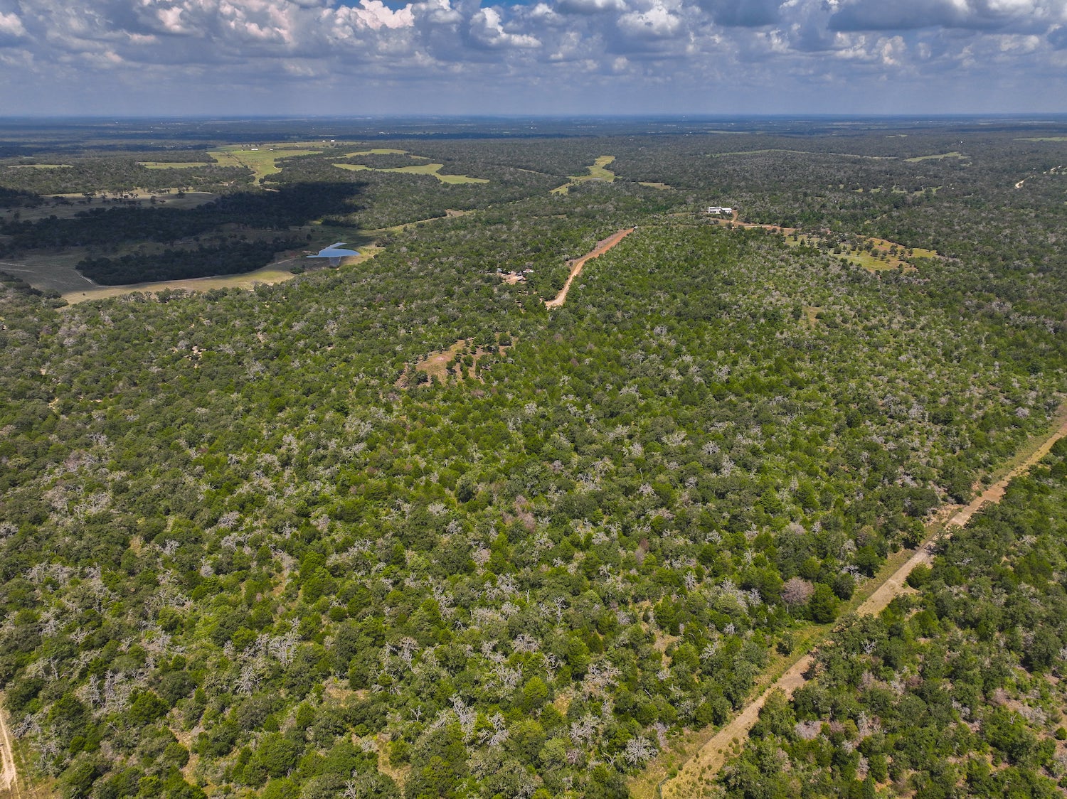 Lockhart, Texas, ,Land,For Sale,1055