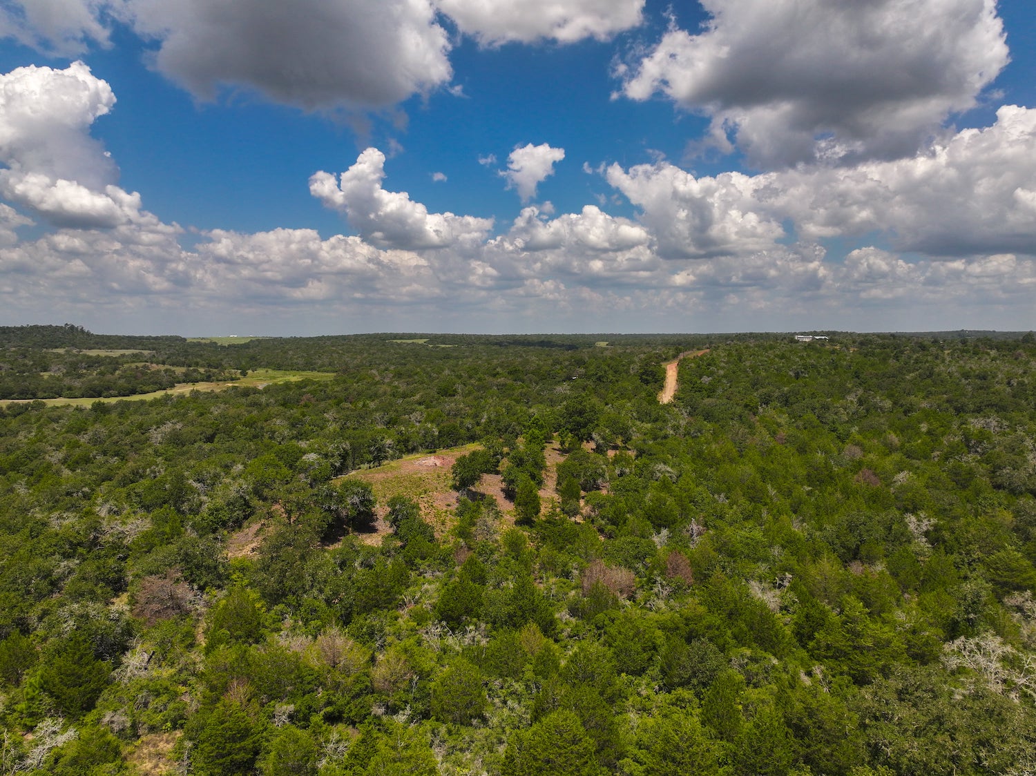 Lockhart, Texas, ,Land,For Sale,1055