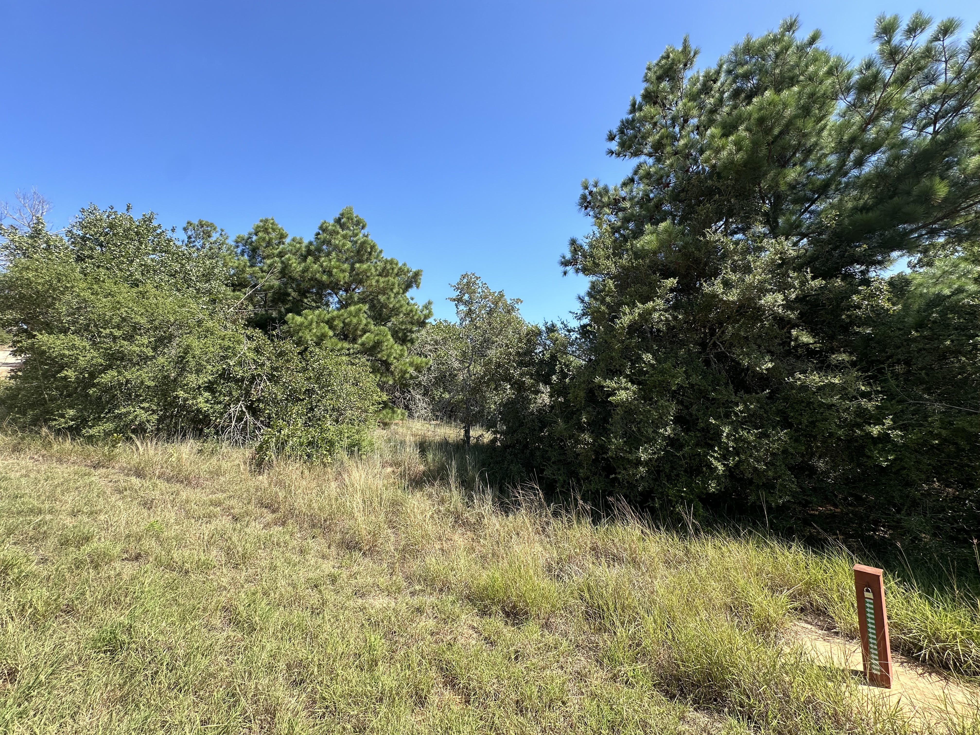 Lockhart, Texas, ,Land,For Sale,1055