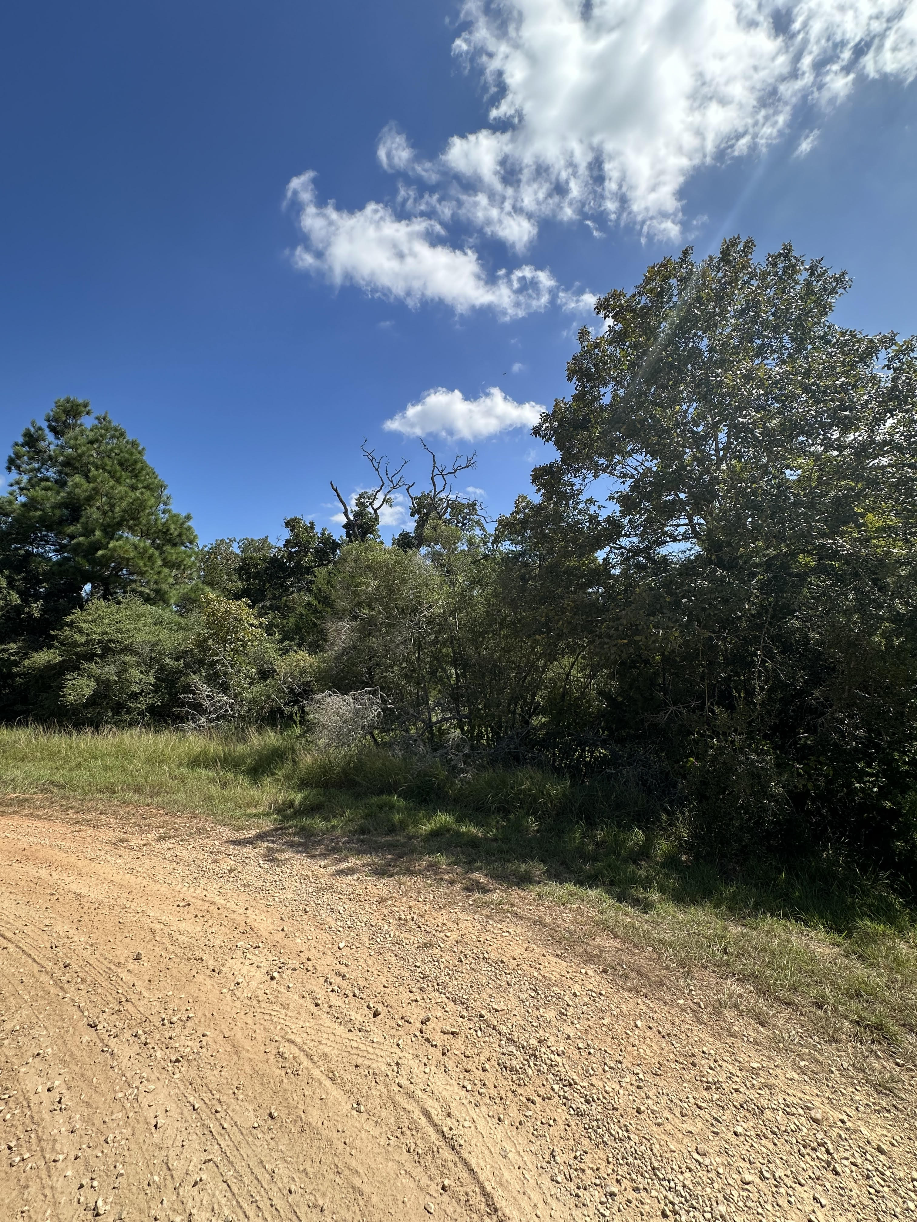 Lockhart, Texas, ,Land,For Sale,1055