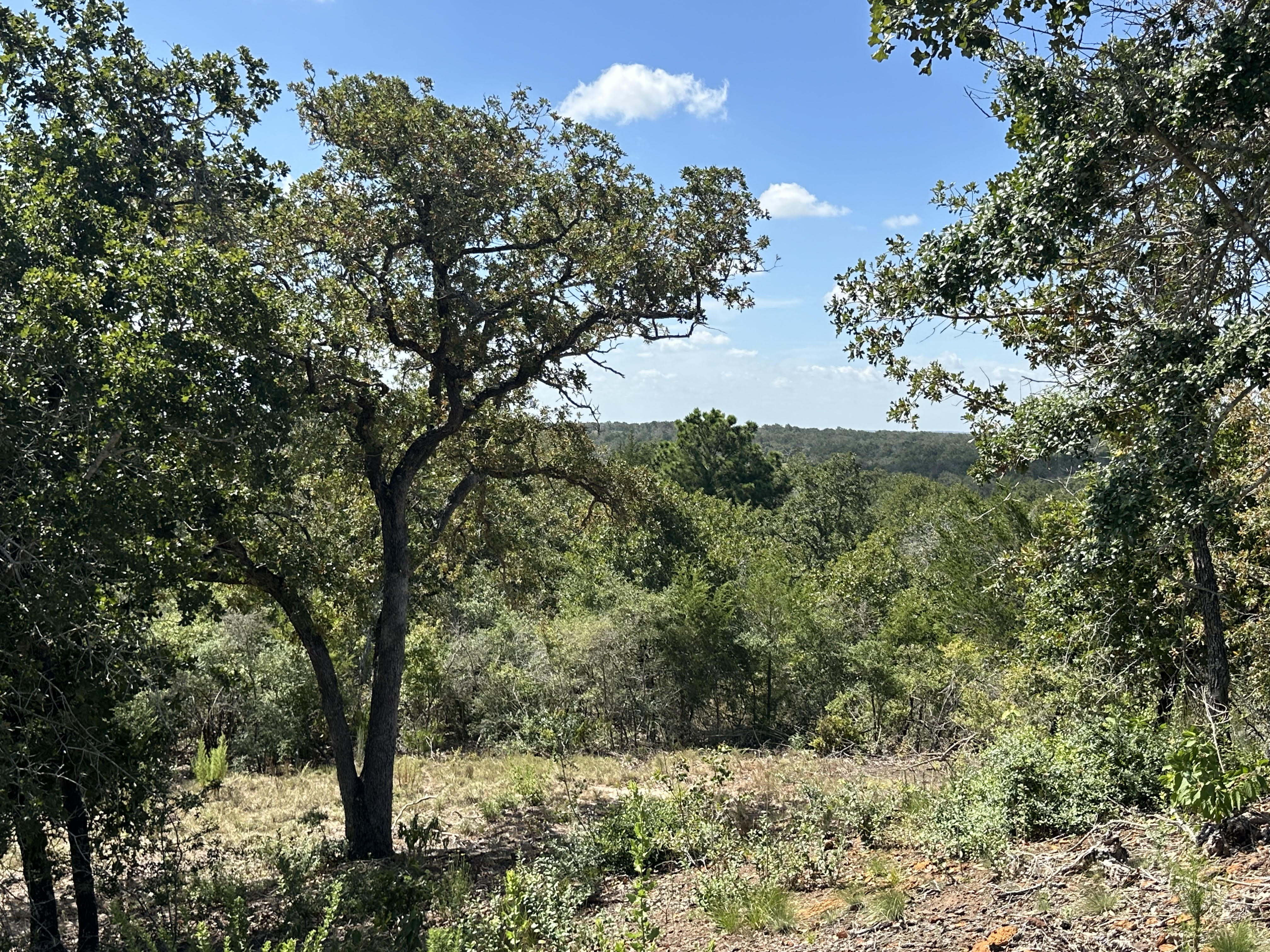 Lockhart, Texas, ,Land,For Sale,1055