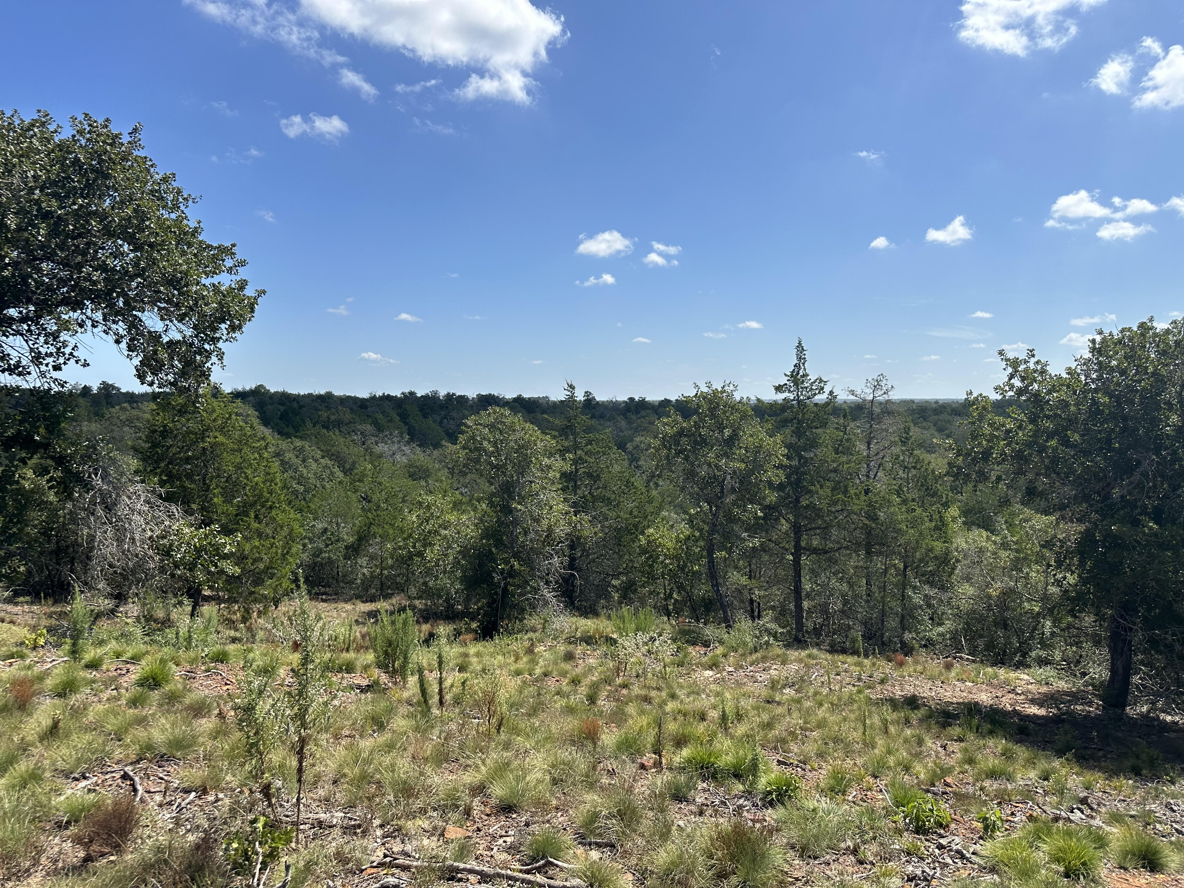 Lockhart, Texas, ,Land,For Sale,1055