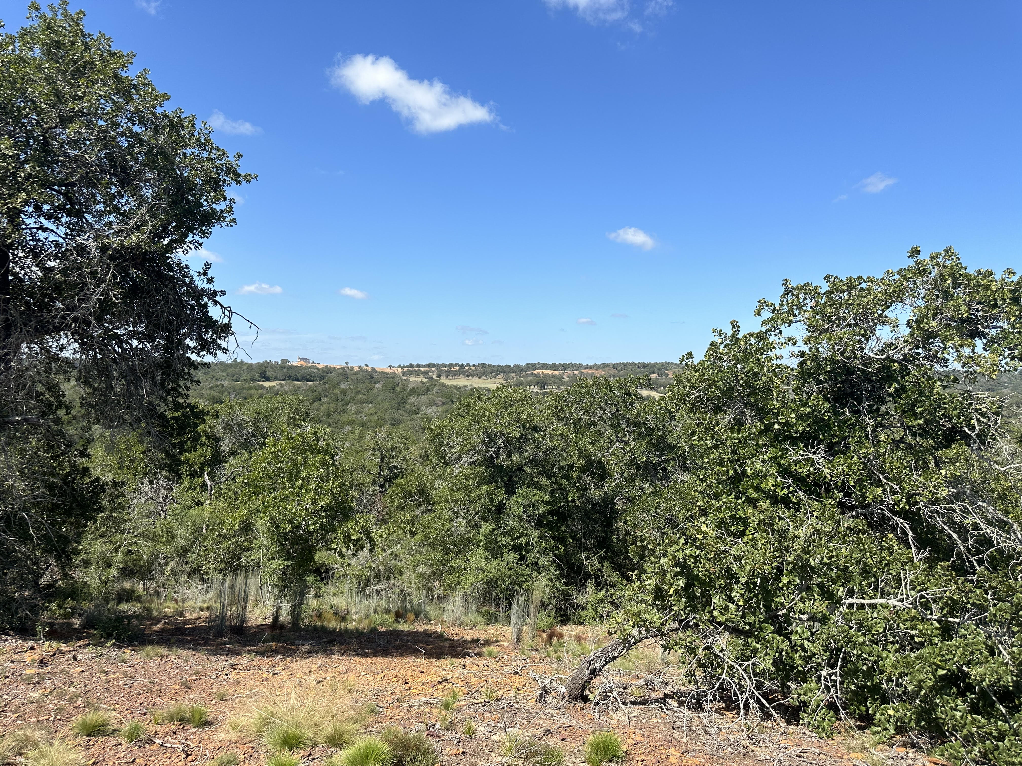 Lockhart, Texas, ,Land,For Sale,1055