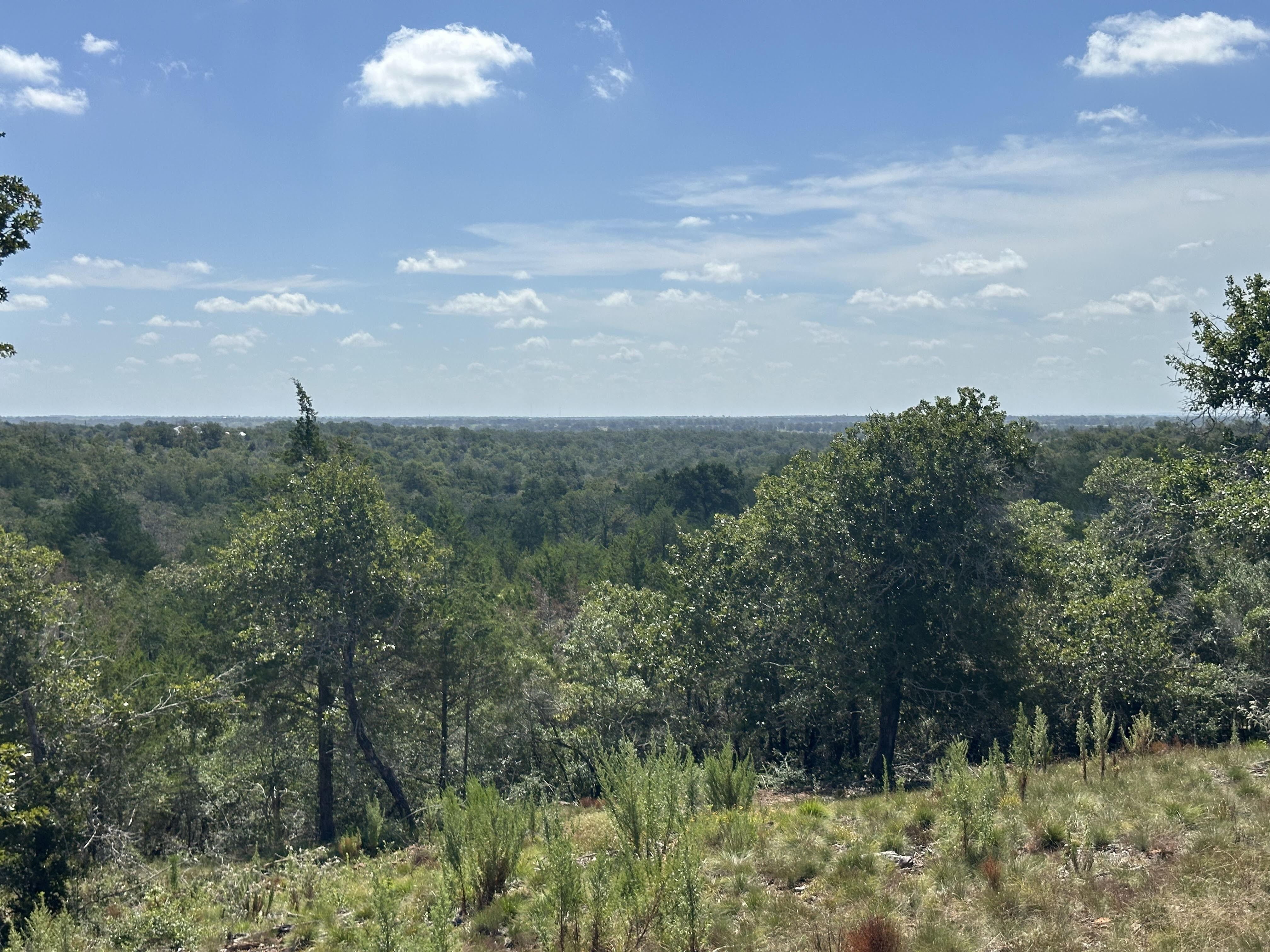 Lockhart, Texas, ,Land,For Sale,1055