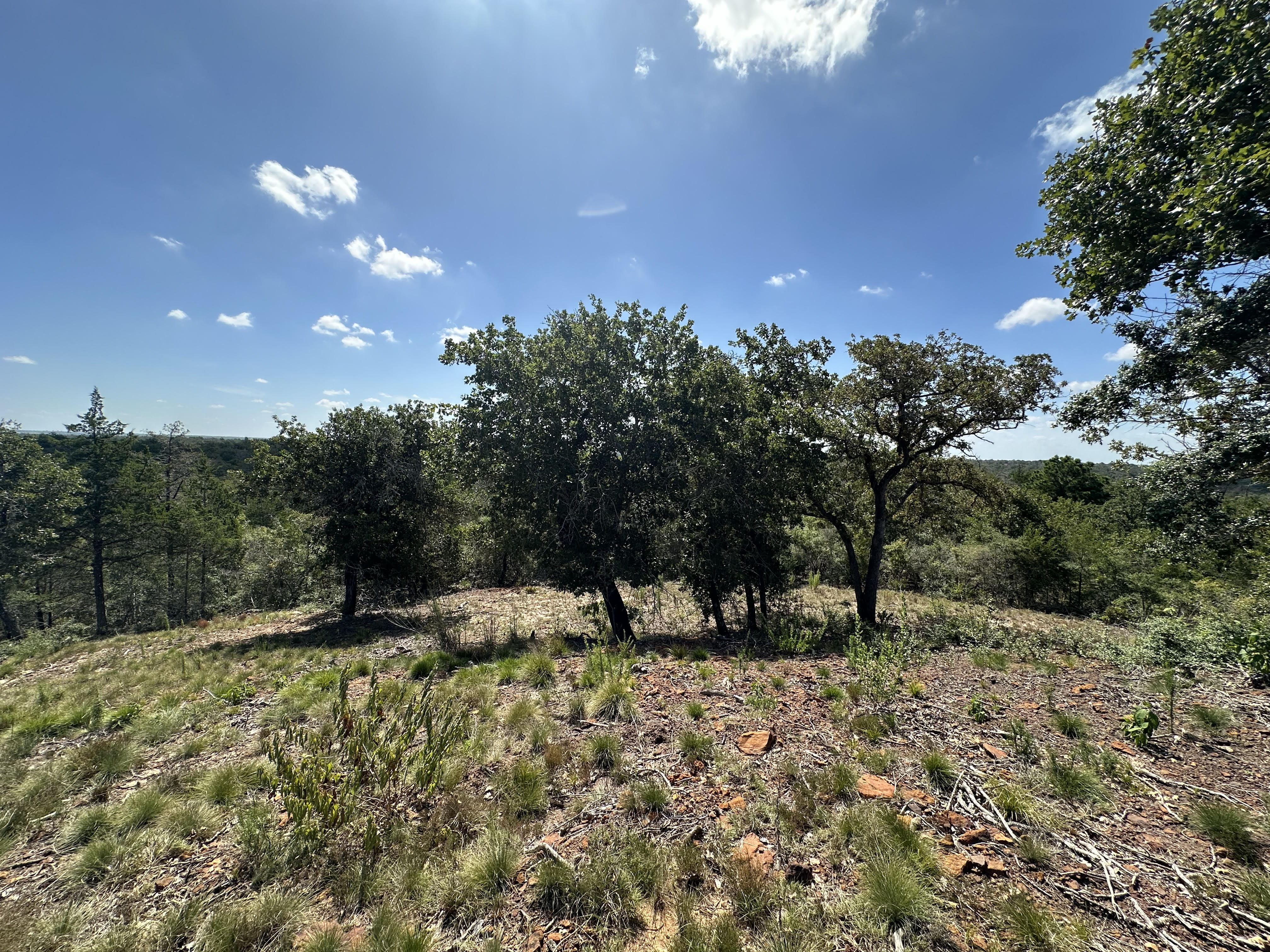 Lockhart, Texas, ,Land,For Sale,1055