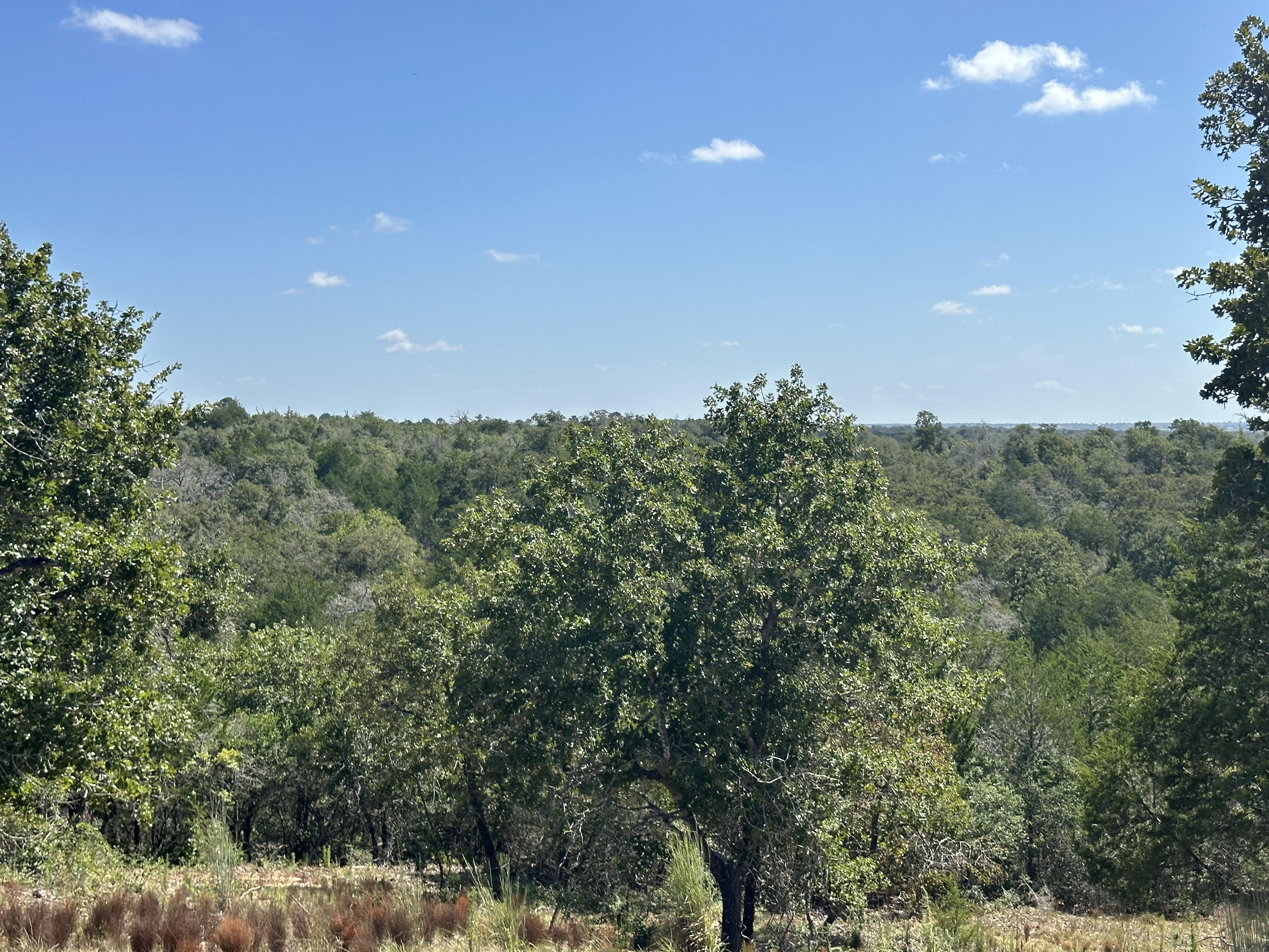 Lockhart, Texas, ,Land,For Sale,1055