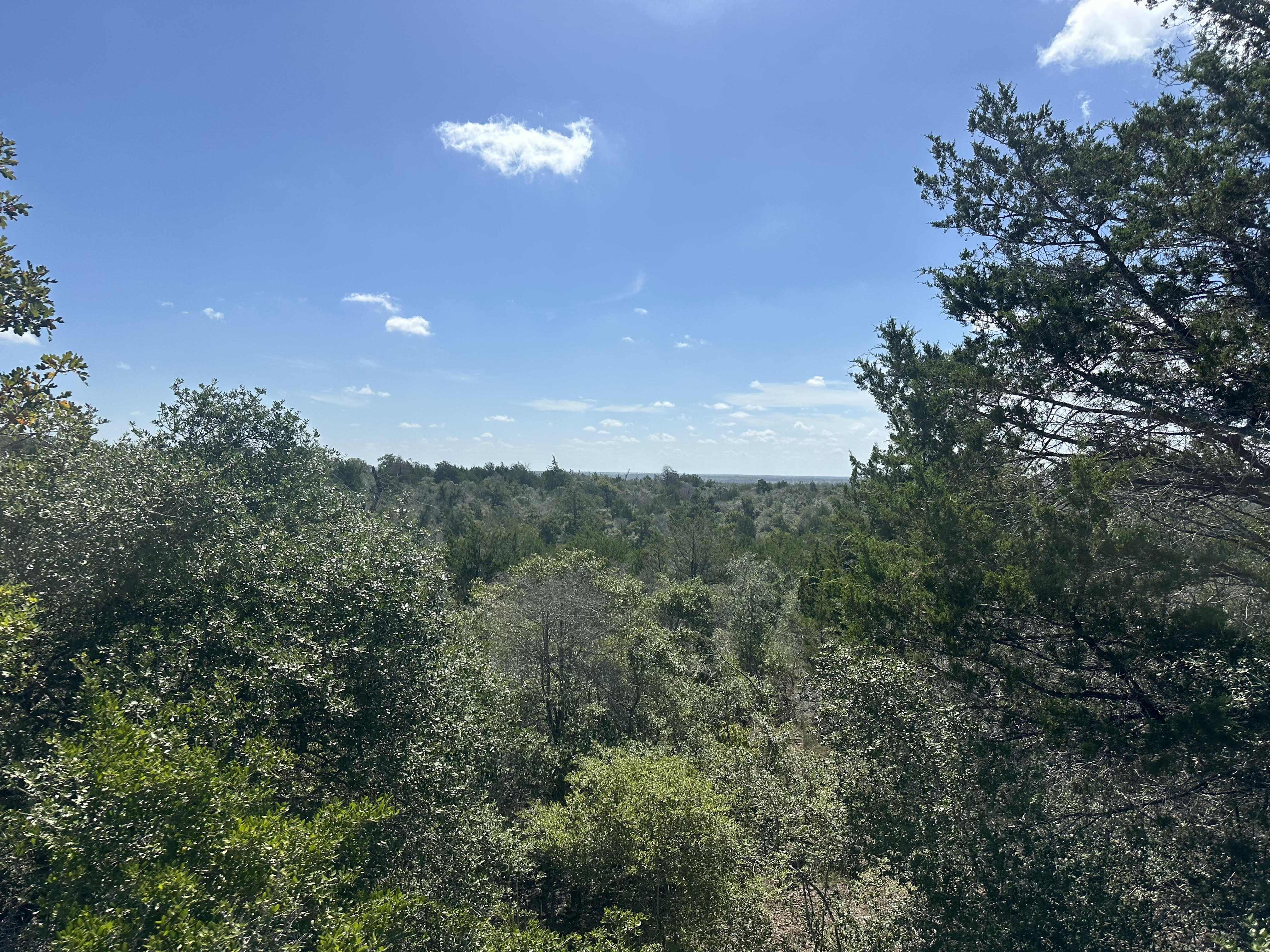 Lockhart, Texas, ,Land,For Sale,1055