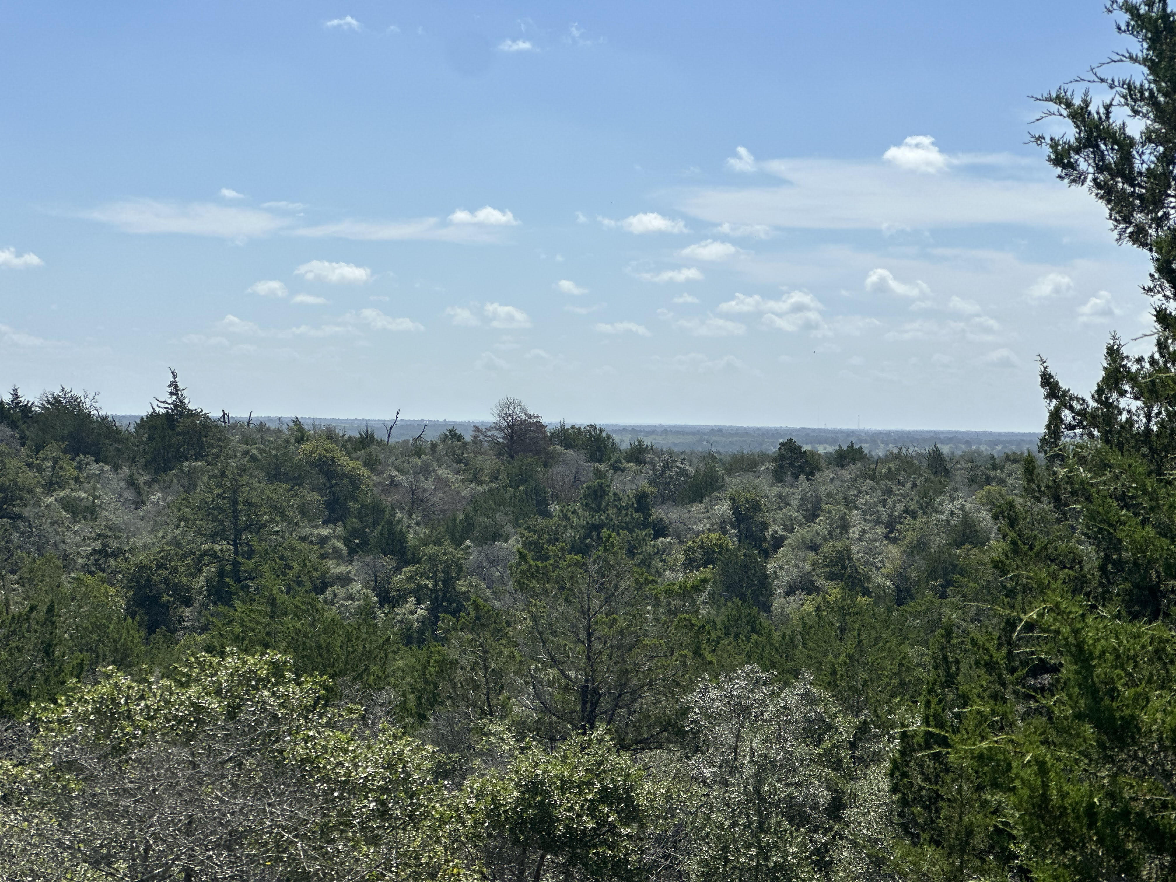 Lockhart, Texas, ,Land,For Sale,1055