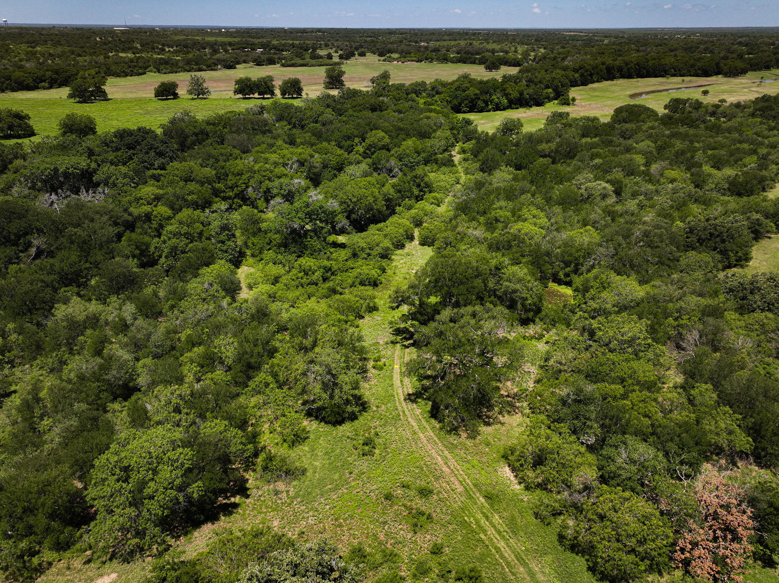 TBD FM 86, Luling, Texas 76028, ,Land,For Sale,FM 86,1061