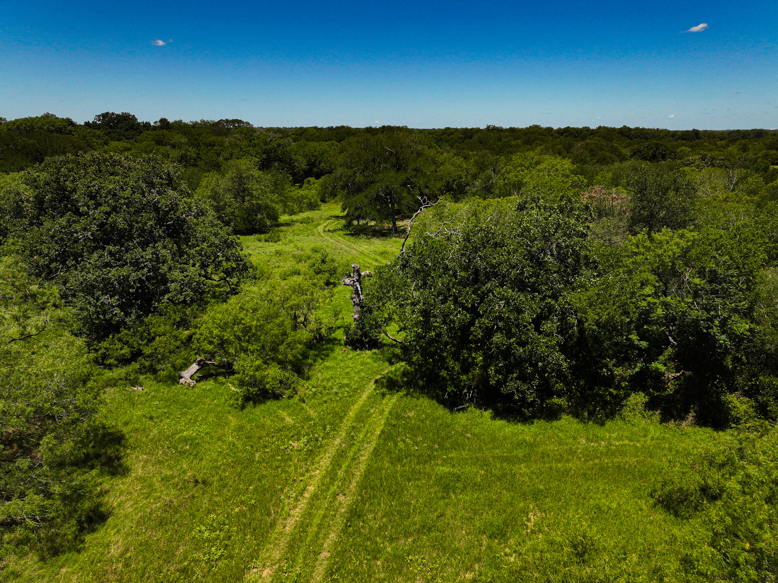 TBD FM 86, Luling, Texas 76028, ,Land,For Sale,FM 86,1061