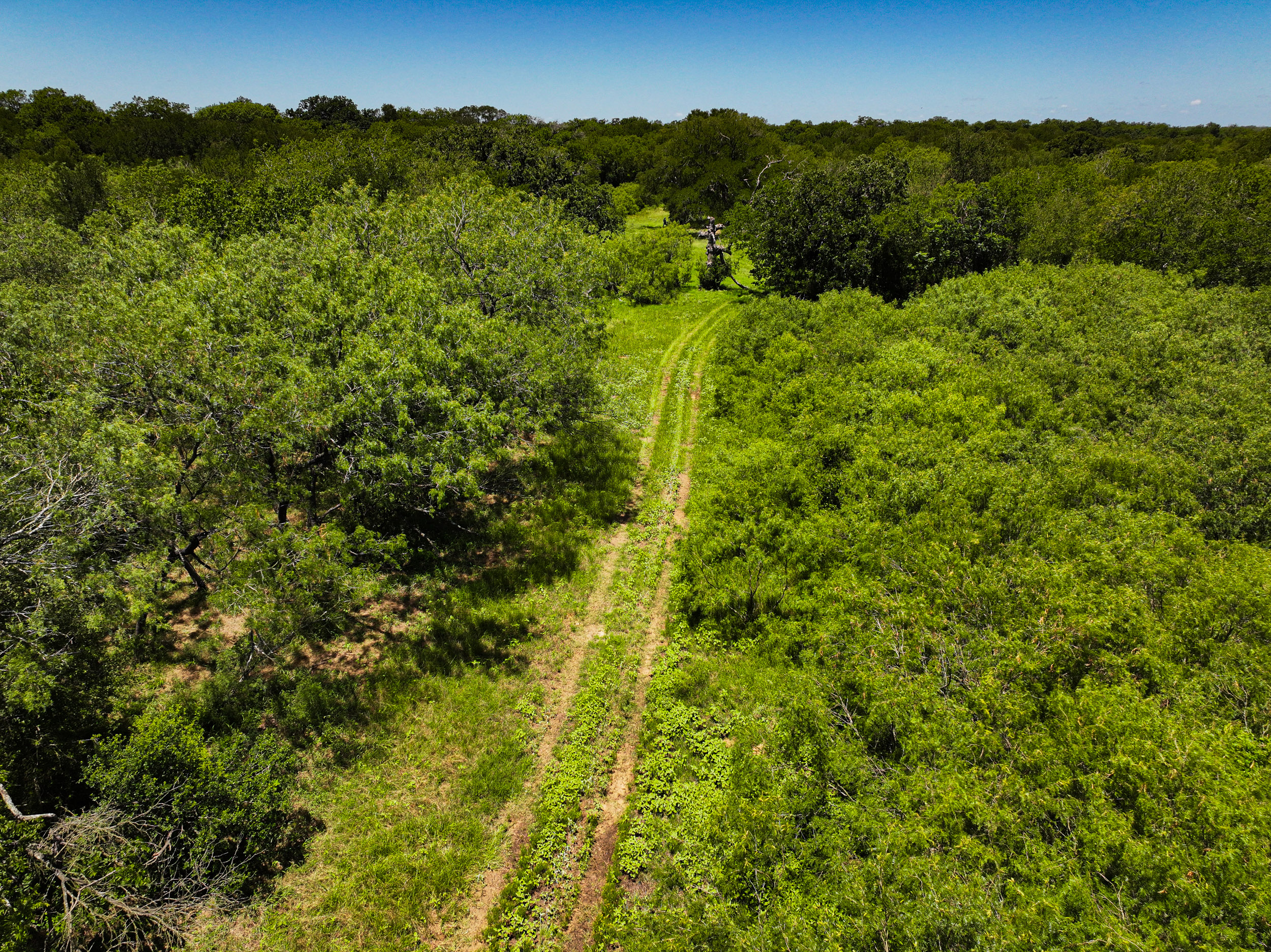 TBD FM 86, Luling, Texas 76028, ,Land,For Sale,FM 86,1061